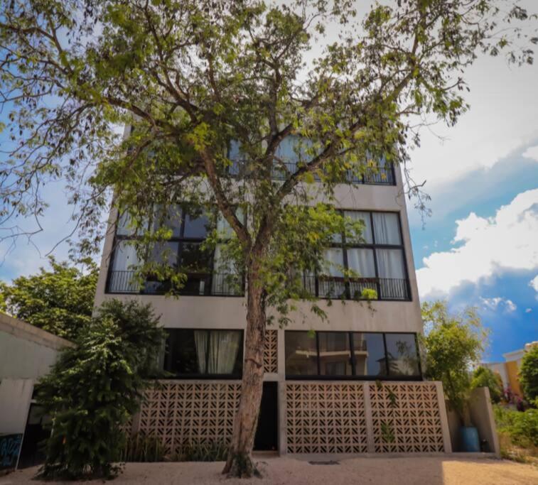 2 bdr Stunning Designer Loft - Centro Tulum