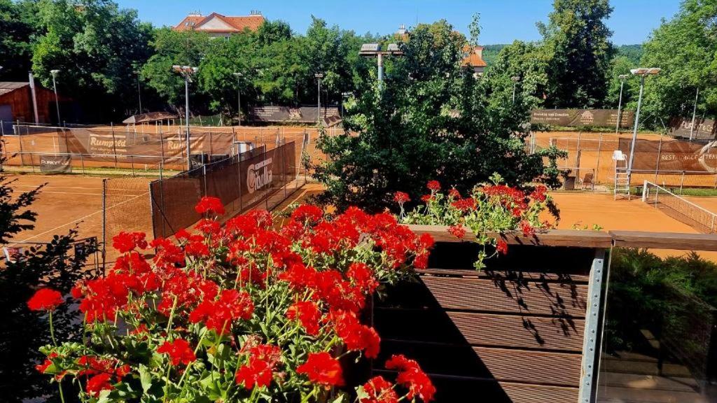 Tenis Cibulka Suites