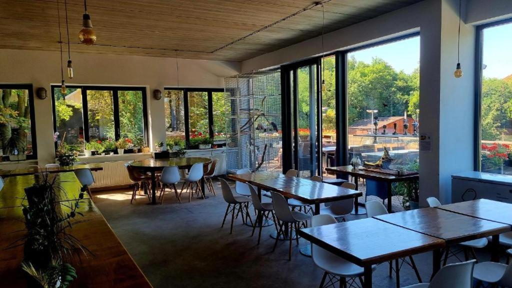 Tenis Cibulka Suites