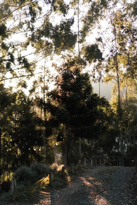 Woody Cabanas