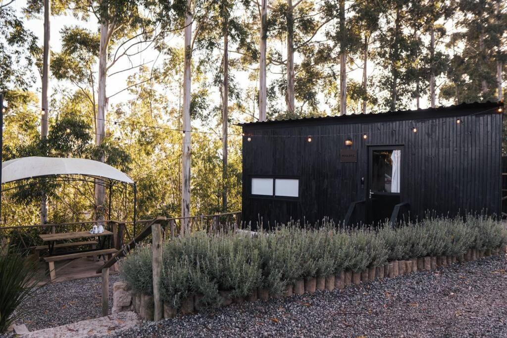 Woody Cabanas