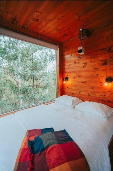 Woody Cabanas
