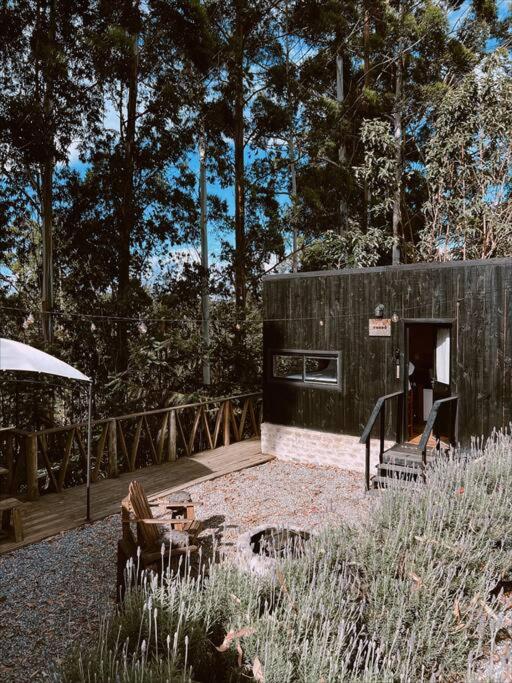 Woody Cabanas