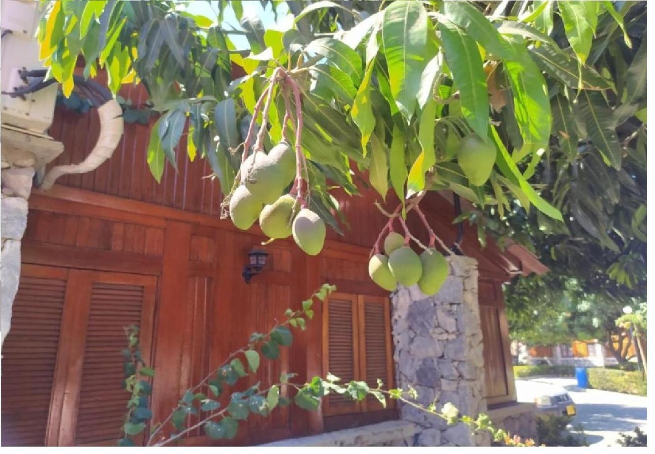 Chalet Completo para Familias Condominio Campestre Privado con Piscinas, wifi, AC