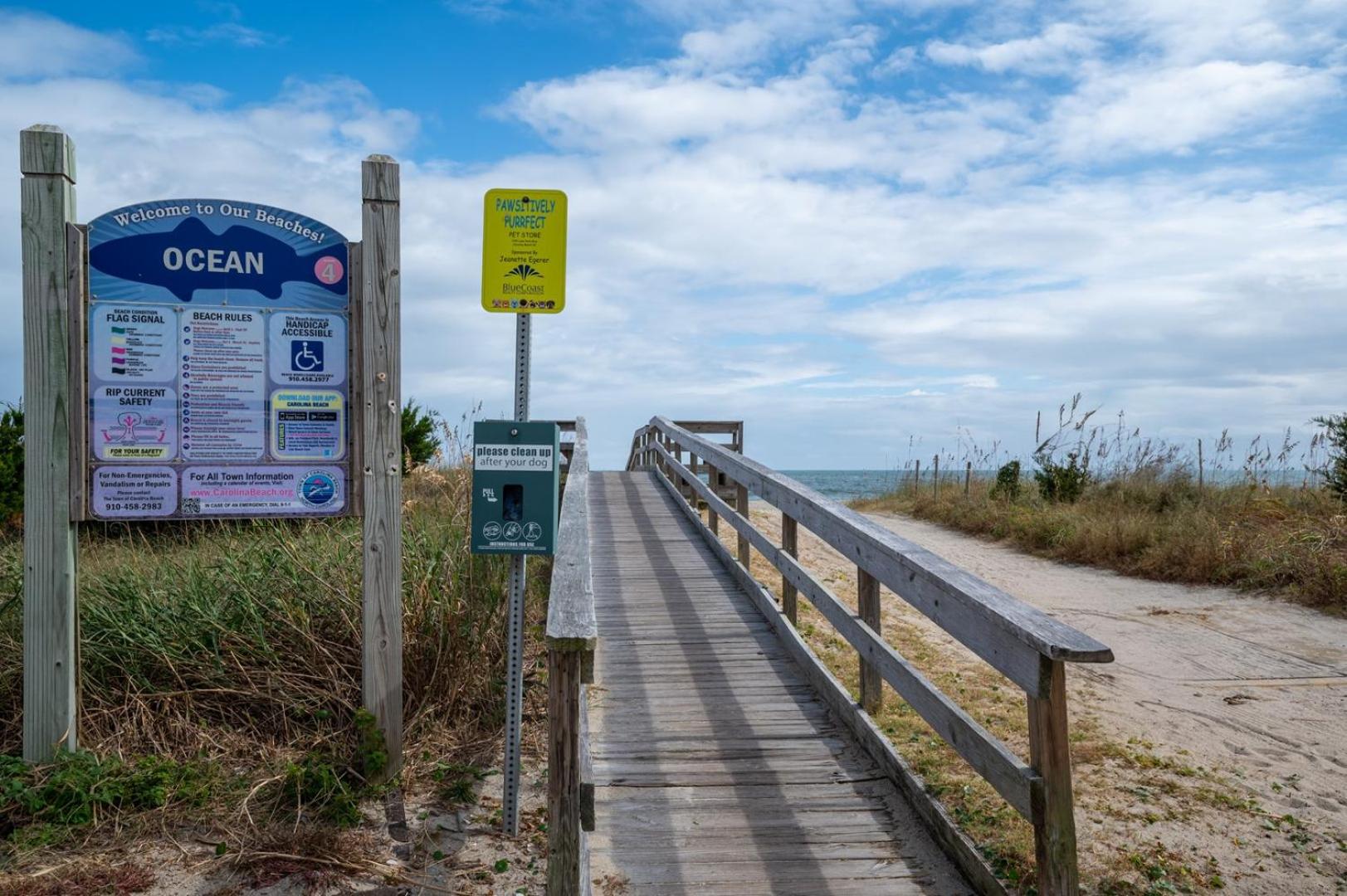 Oceanview and Pet Friendly at Tide and Seek