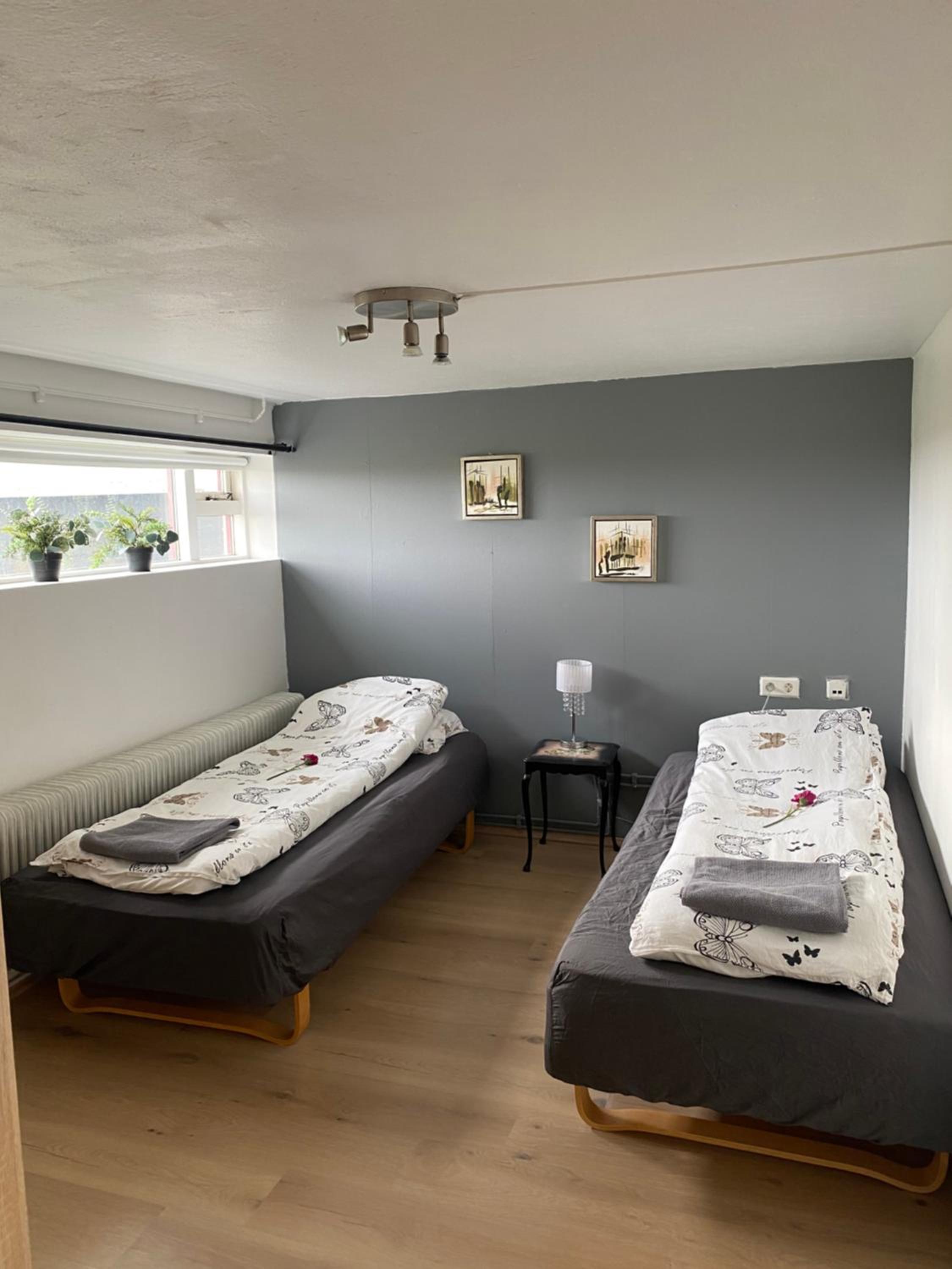 Cosy apartment