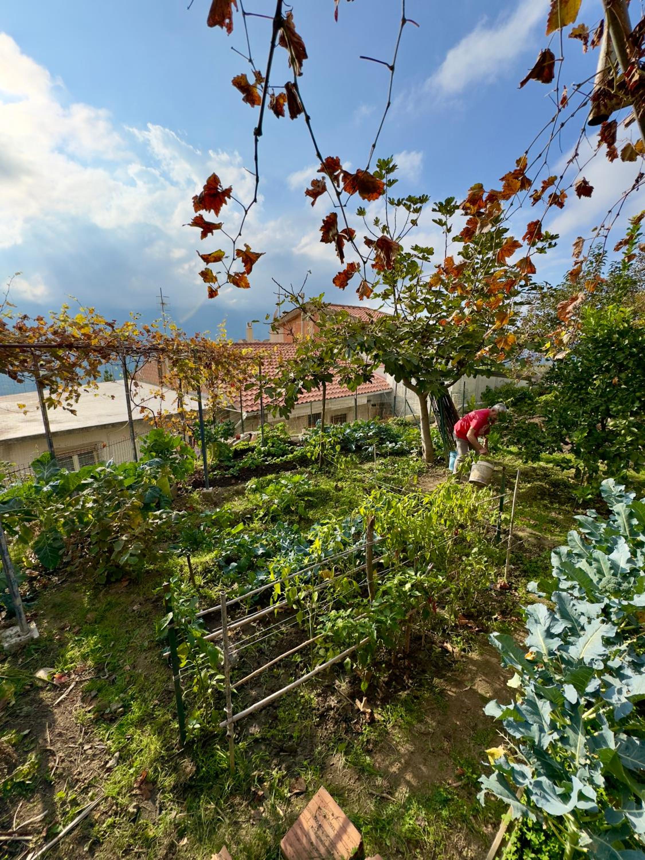 Photo 11