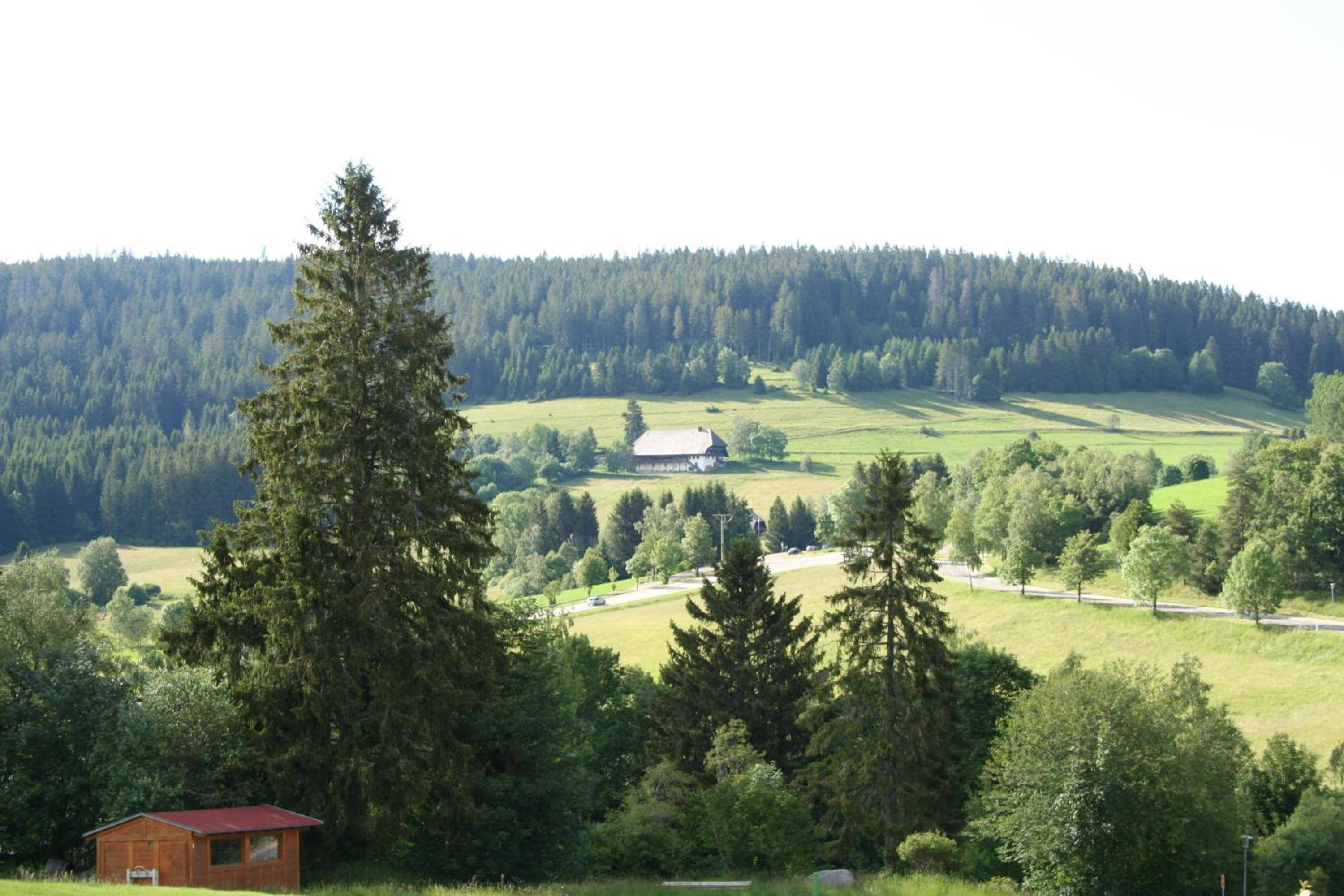 Bergsee