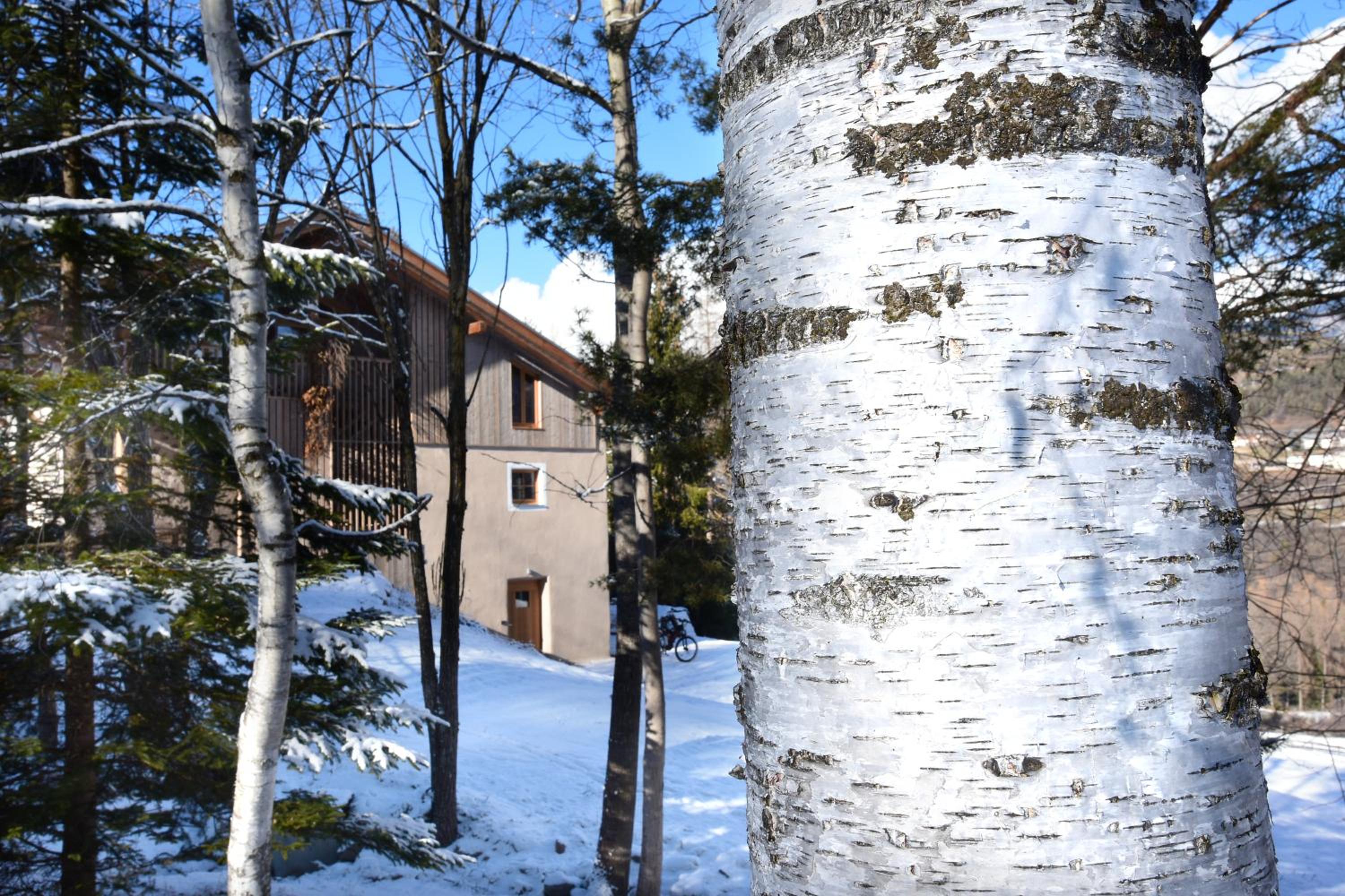 Photo 11