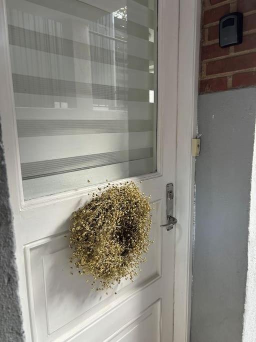 Hyggelig lejlighed tæt på centrum
