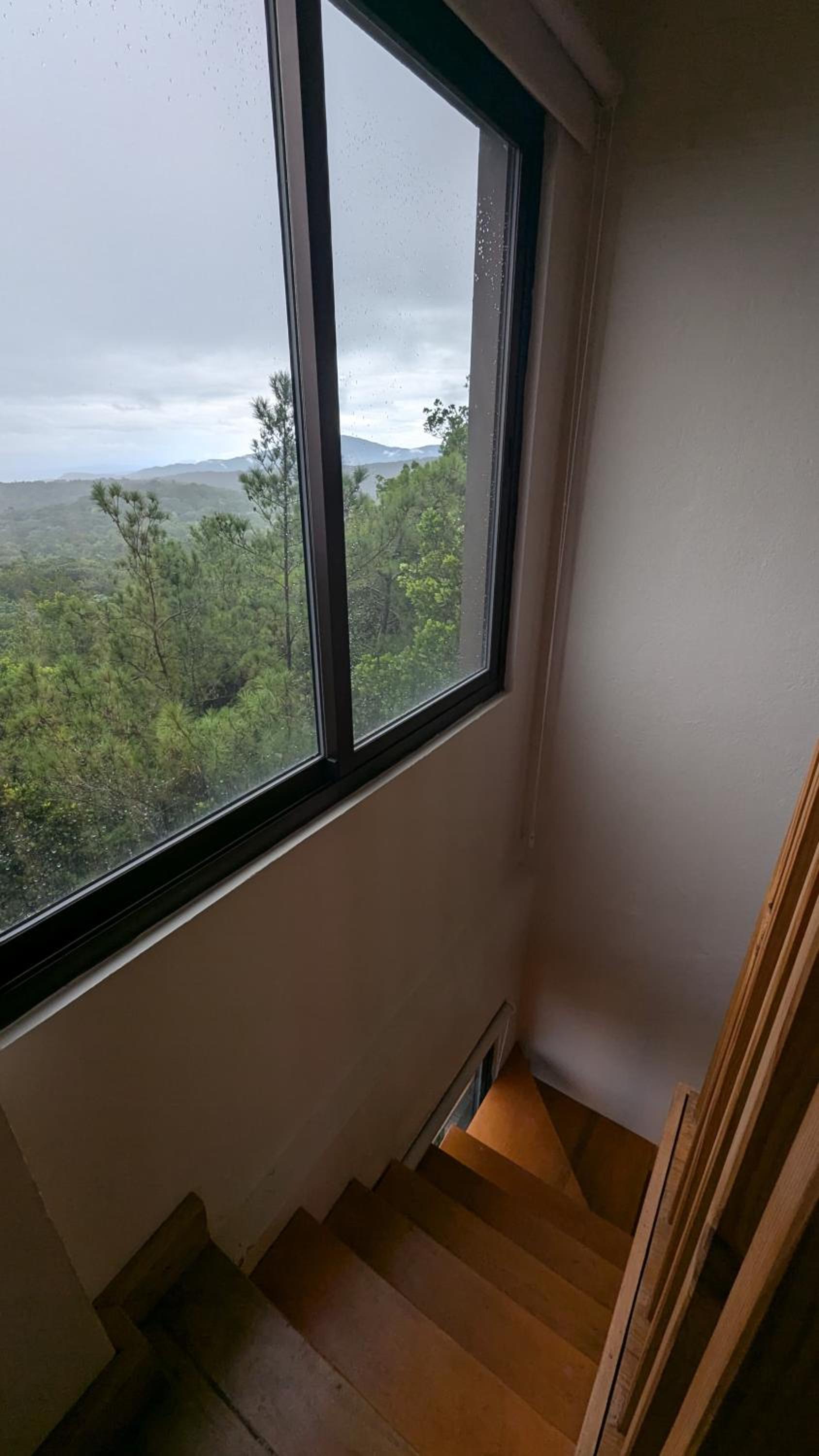 The Grand Forest Jarabacoa