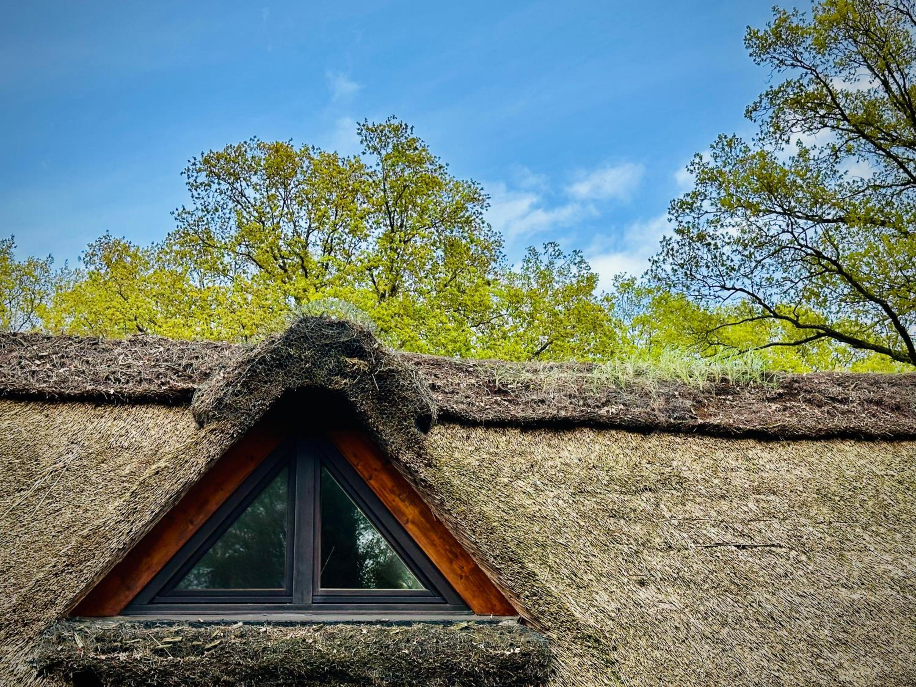 Ferienhaus im Schluh