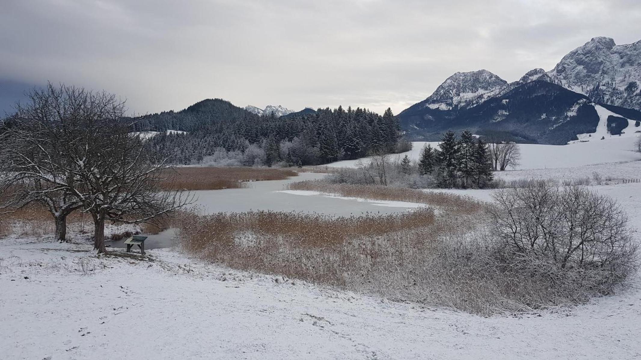 Appartment Haus Einbergblick