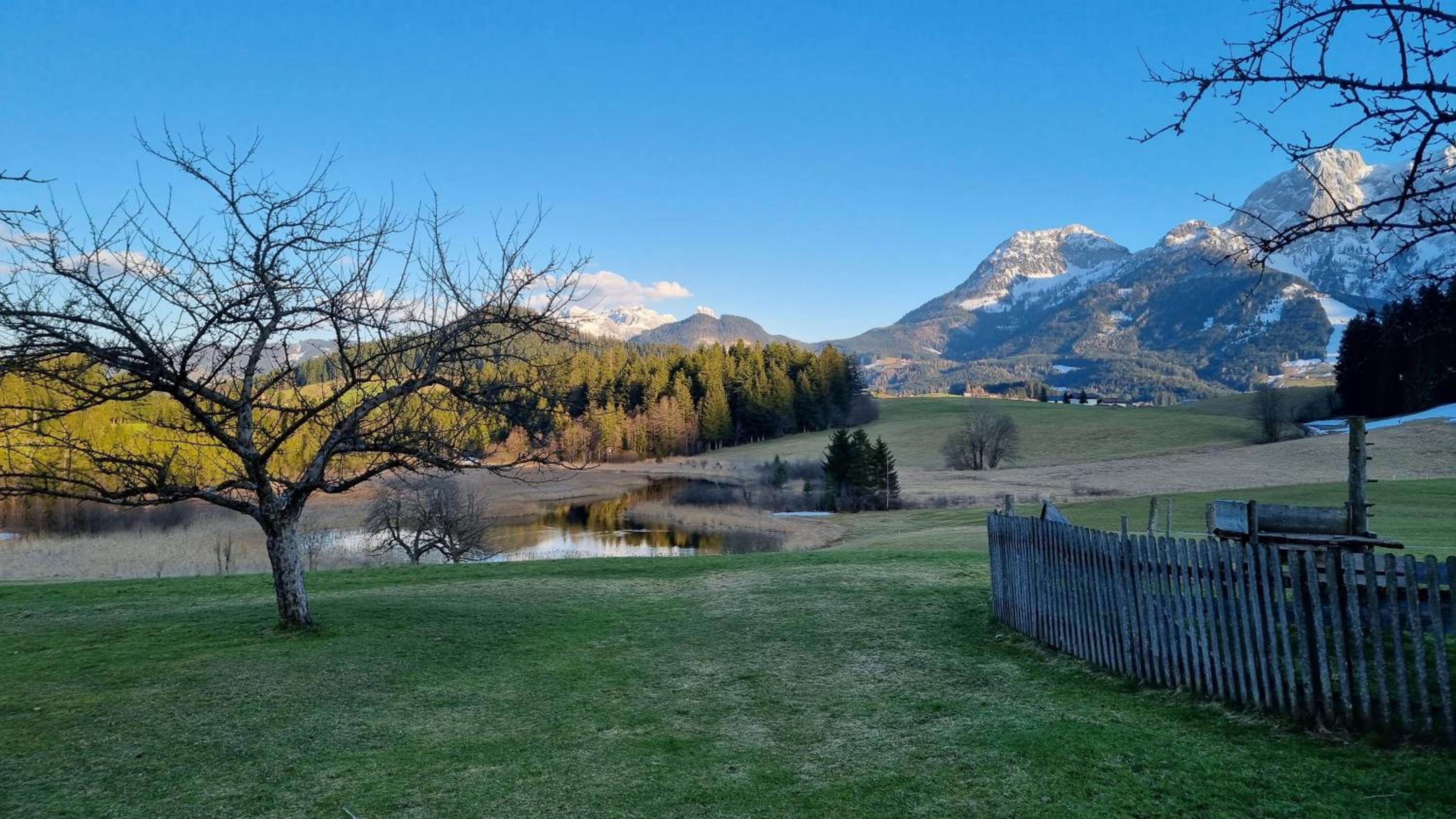 Appartment Haus Einbergblick