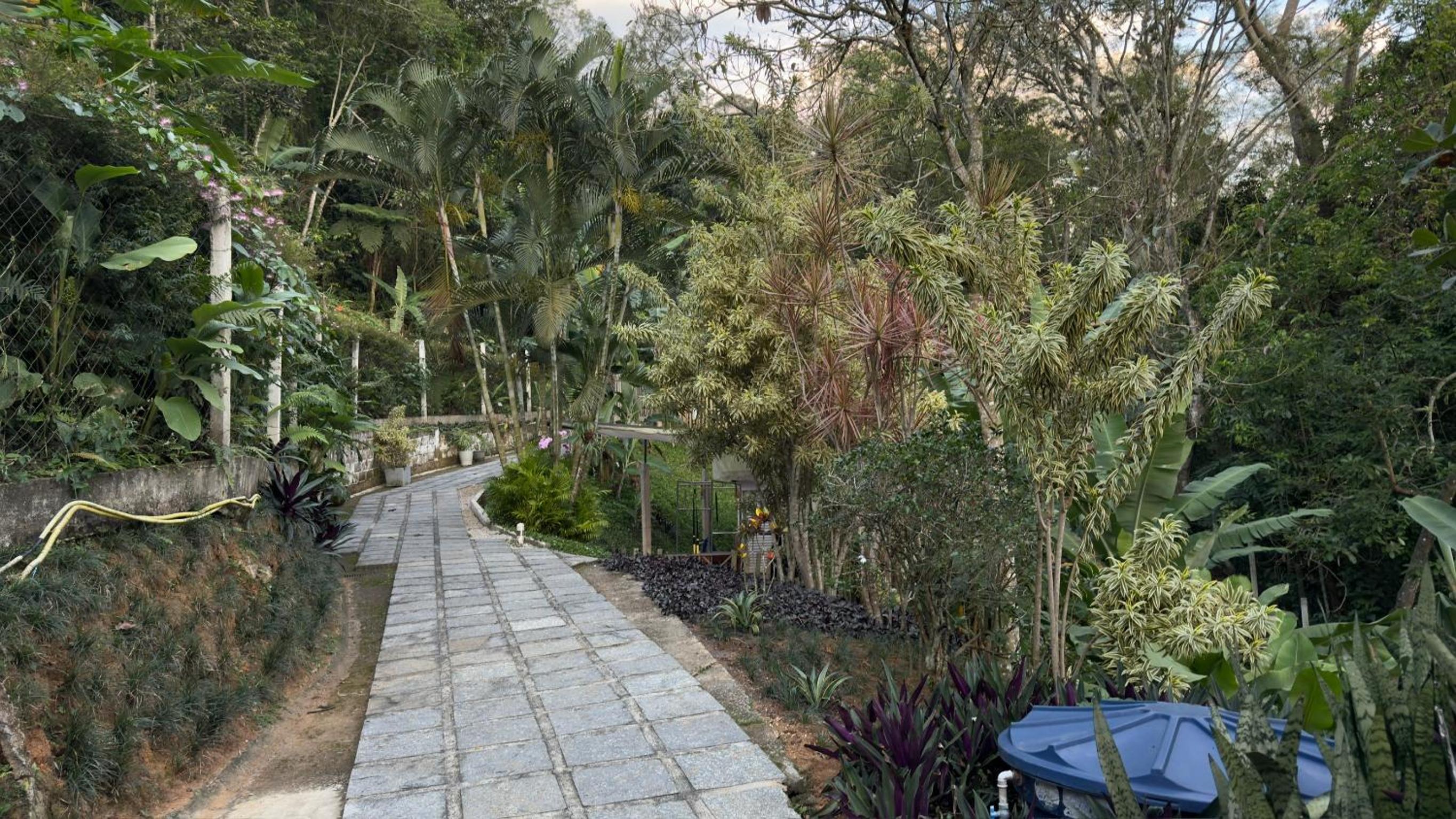 Casa da Floresta