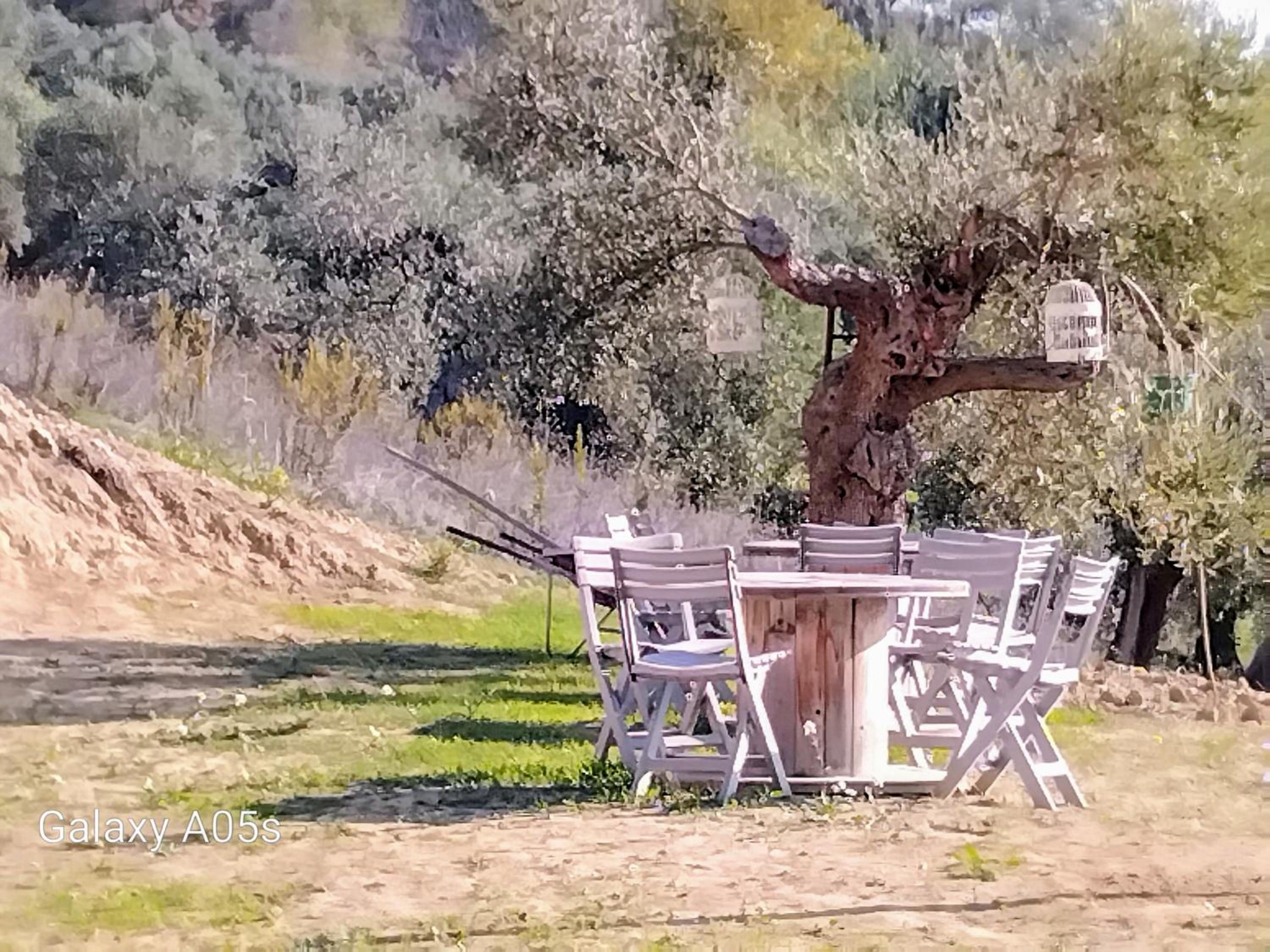 Tenuta Ornella