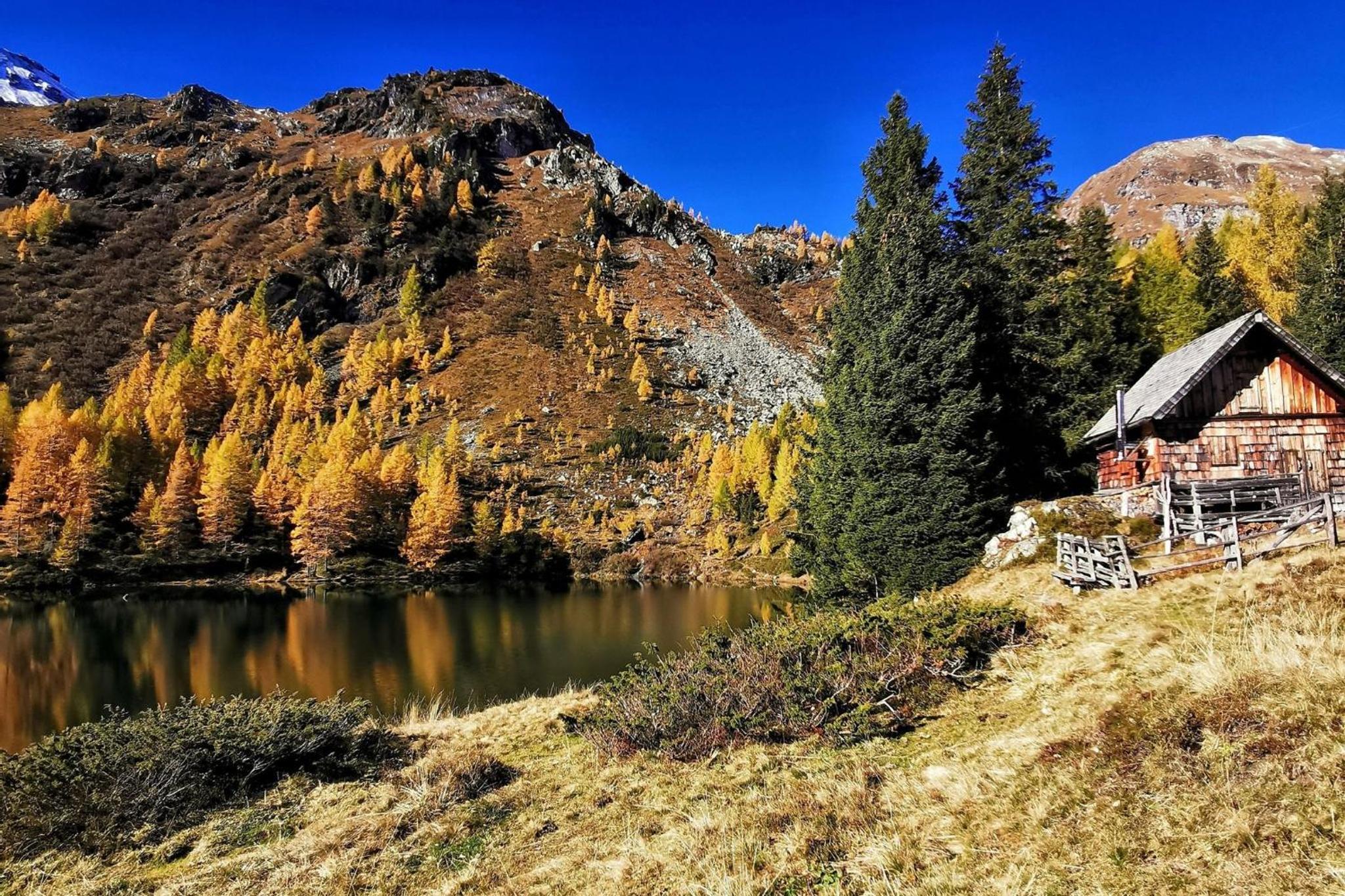 Alpenchalets Weissenbacher-Fuchsbau