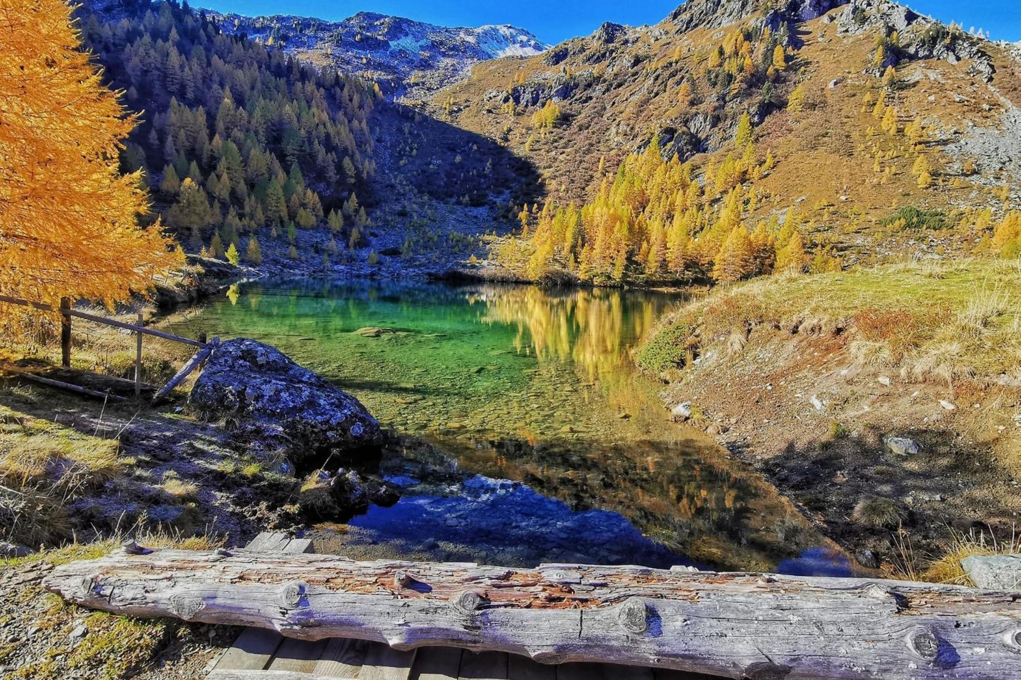 Alpenchalets Weissenbacher-Fuchsbau