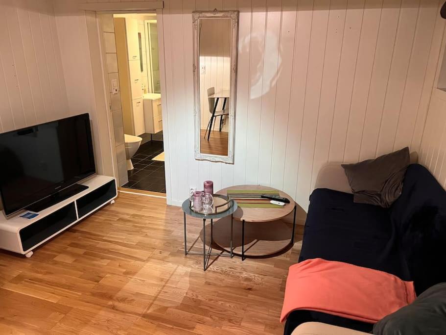 Cozy 1 bedr apartment close to everything! view 3