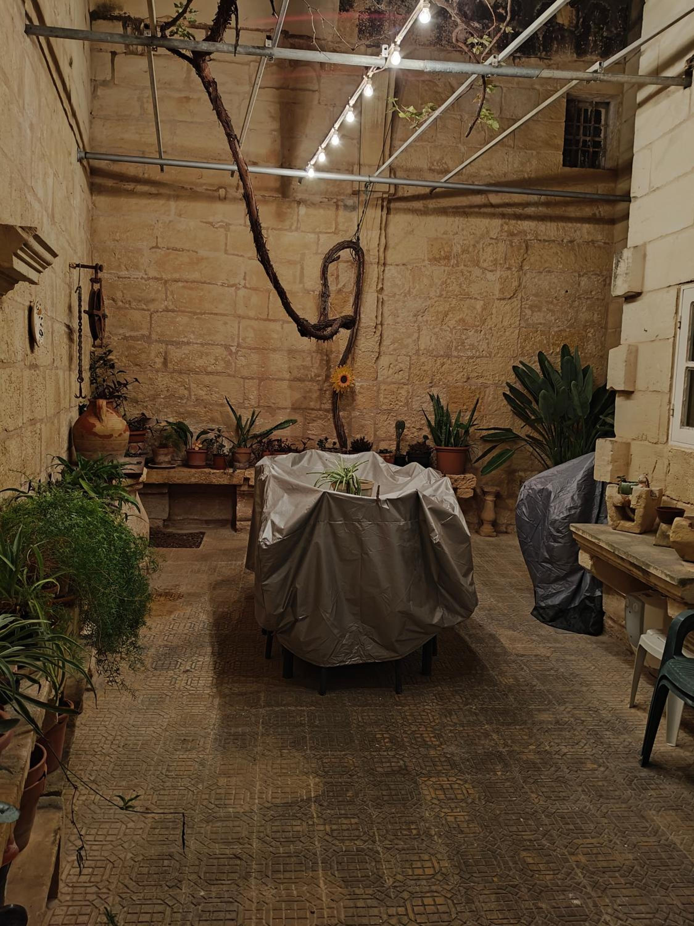 Photo 26