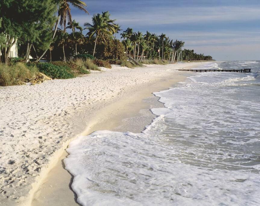 Palm Breeze view 4
