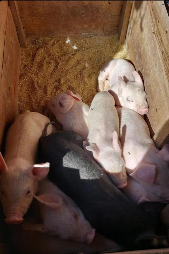 alojamiento rural