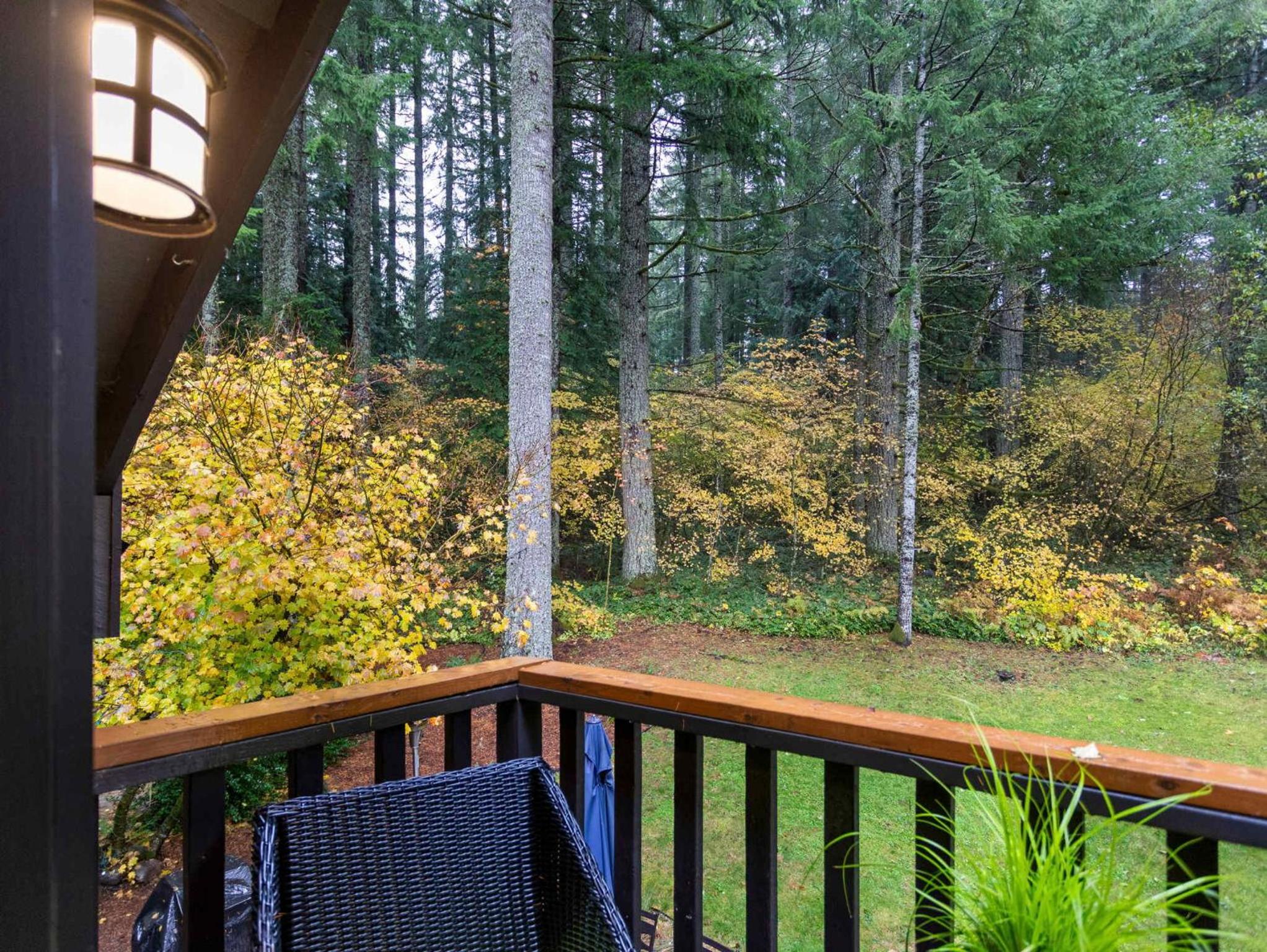 Lolowood Chalet - Modern cozy nature retreat dog friendly