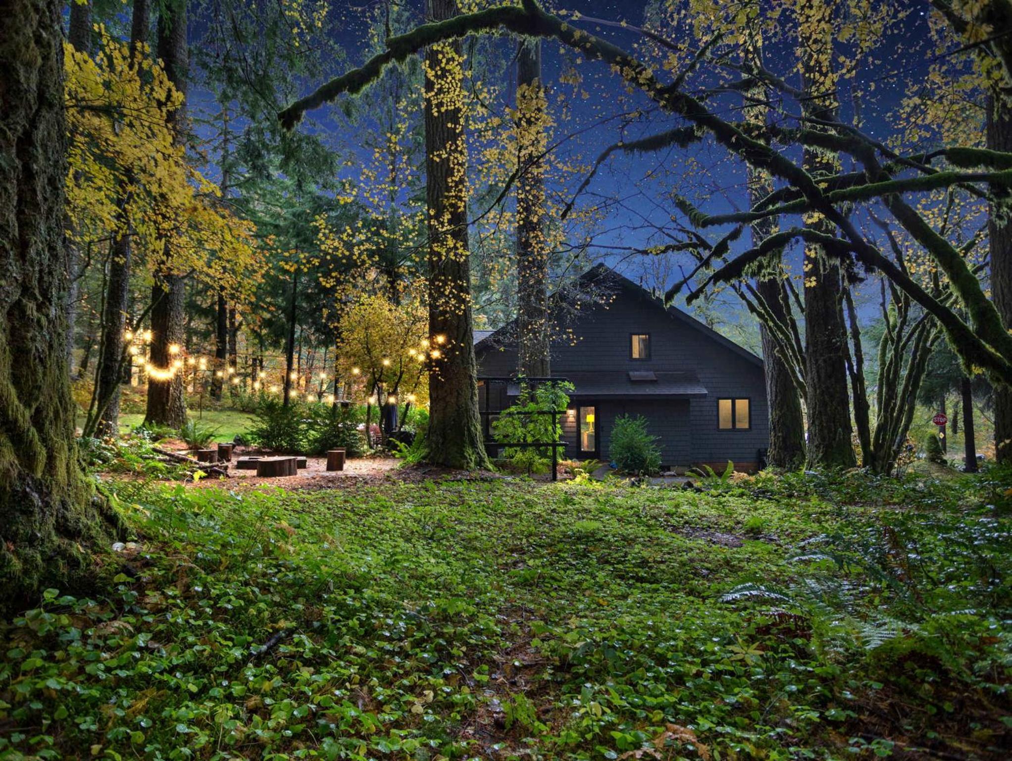 Lolowood Chalet - Modern cozy nature retreat dog friendly