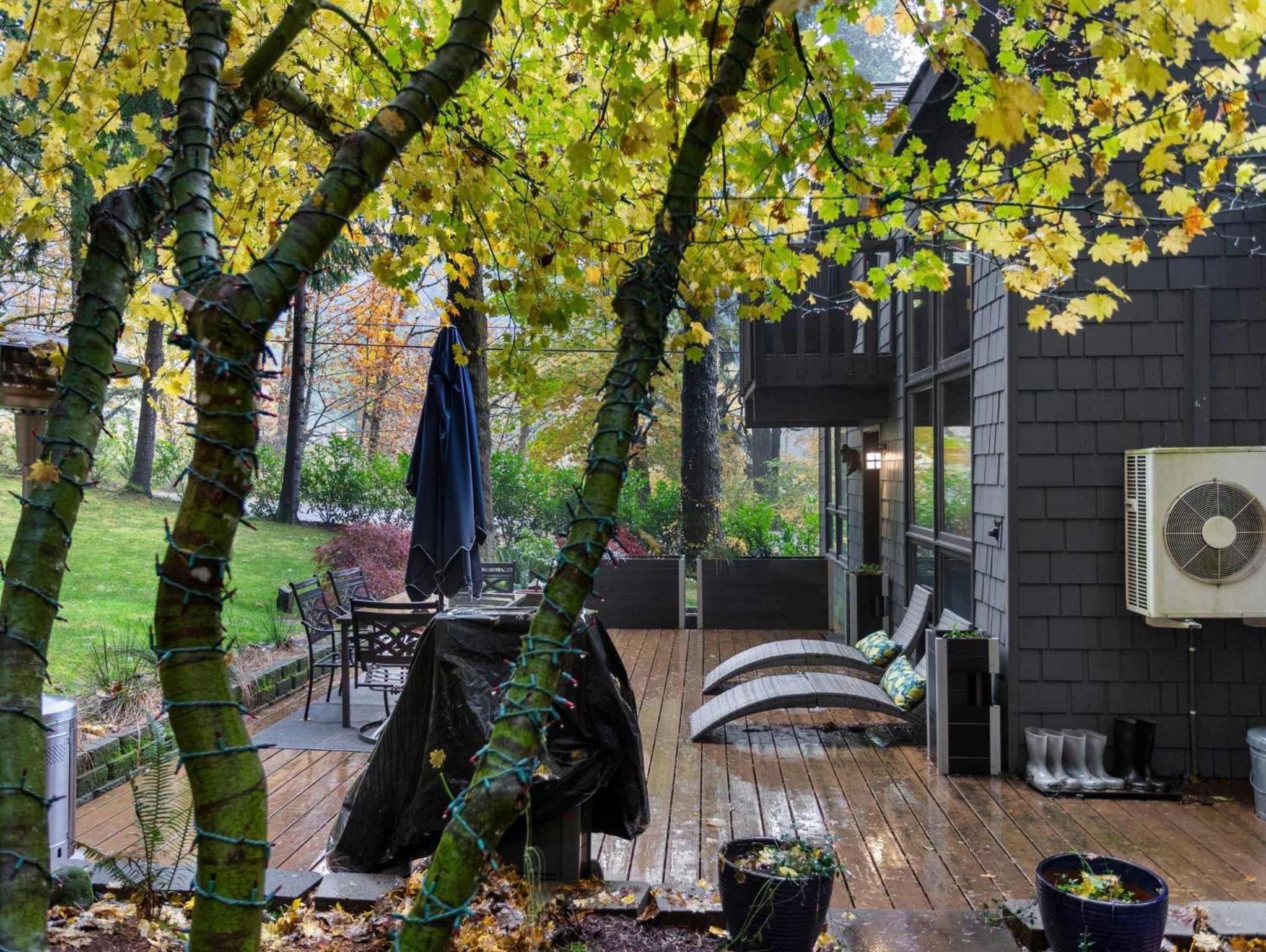 Lolowood Chalet - Modern cozy nature retreat dog friendly