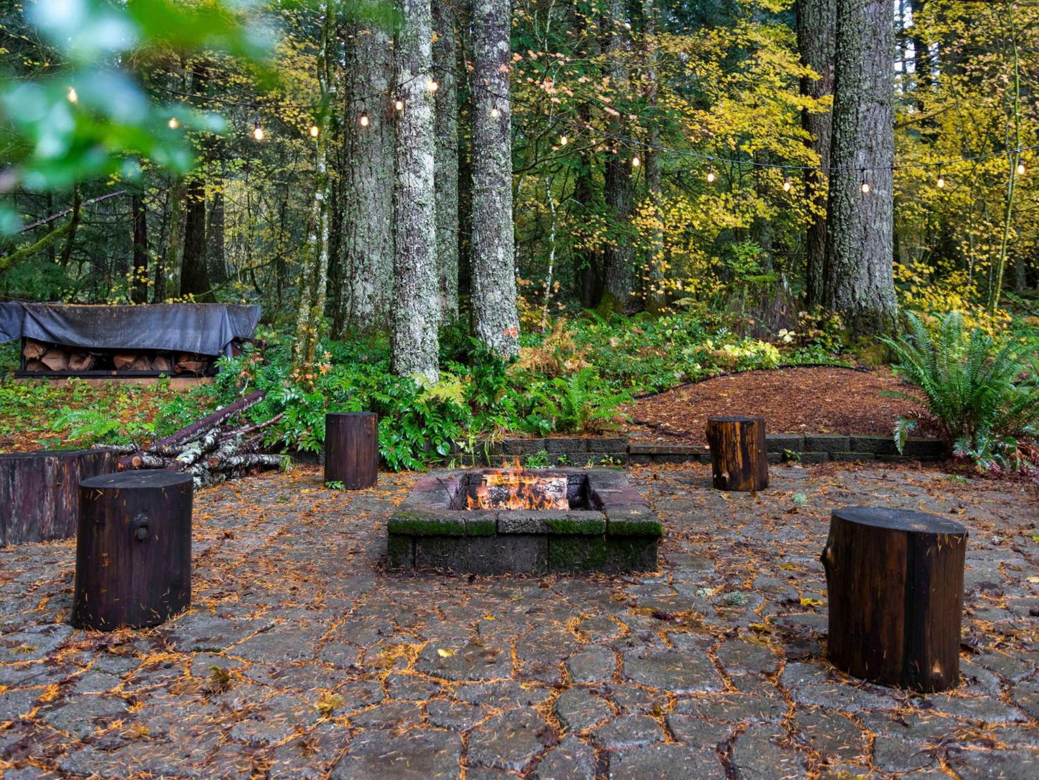 Lolowood Chalet - Modern cozy nature retreat dog friendly