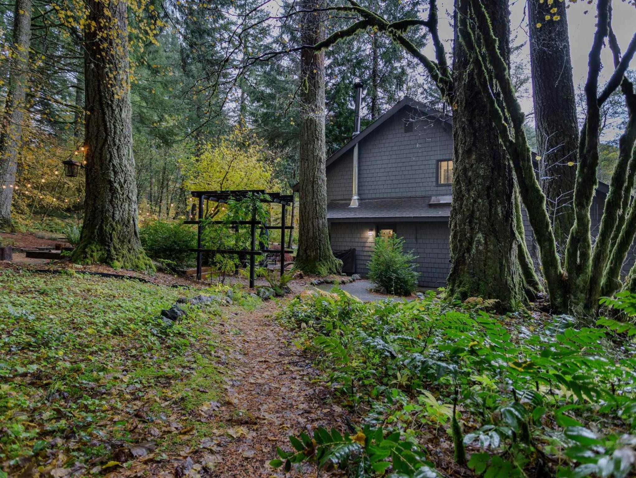 Lolowood Chalet - Modern cozy nature retreat dog friendly