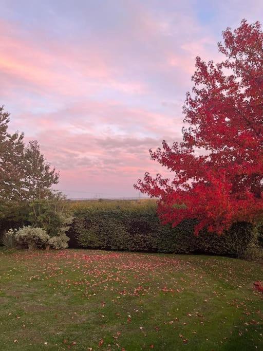 Green Acres House view 4