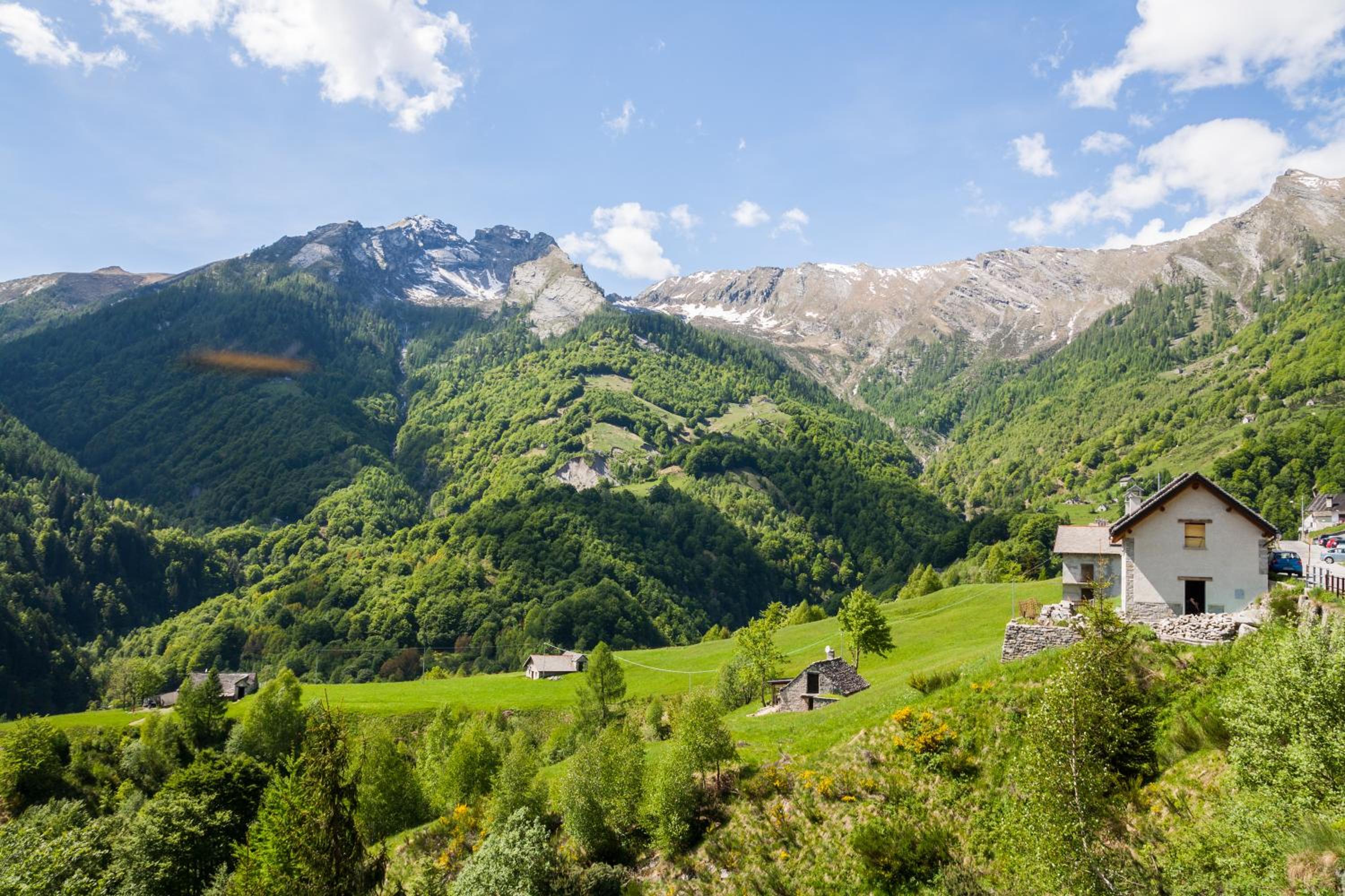 Mountain Views In Camedo - Happy Rentals
