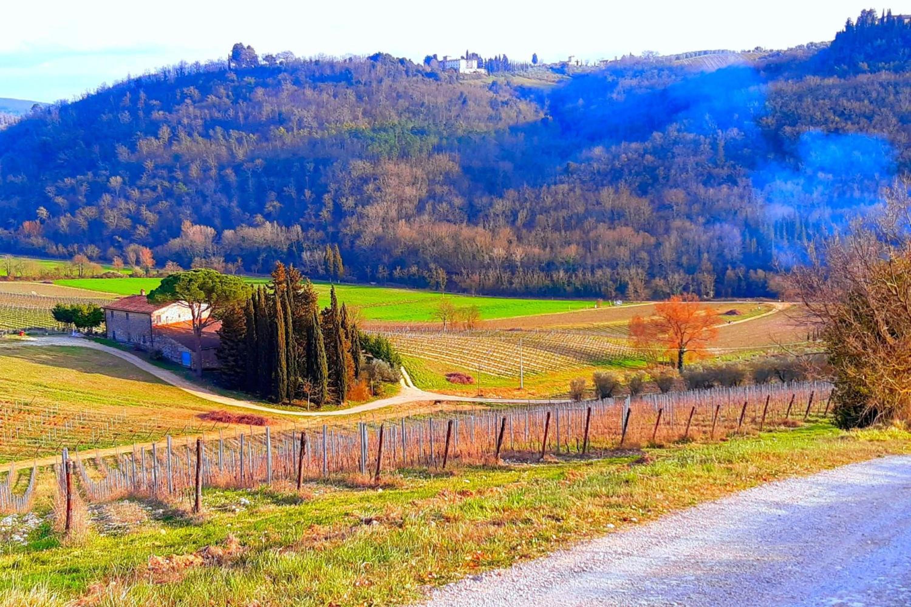 Villa Salivolpe Amazing Chianti View view 4