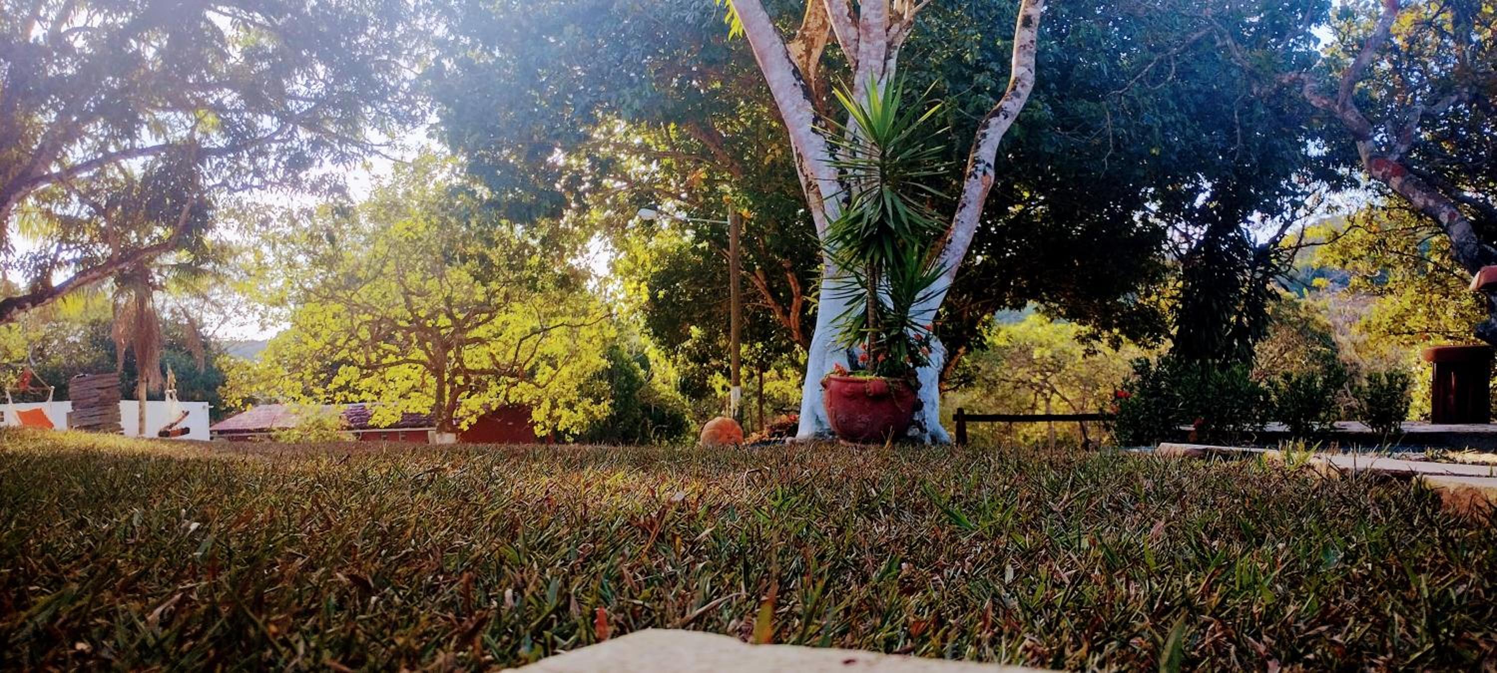 Fazenda Riachão