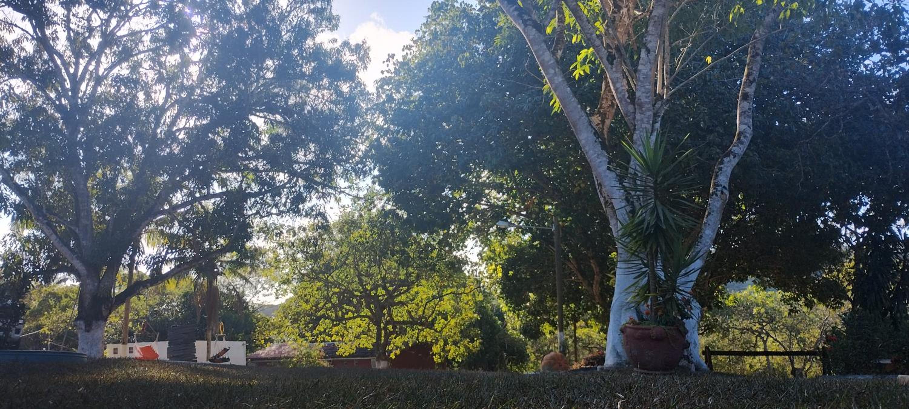 Fazenda Riachão