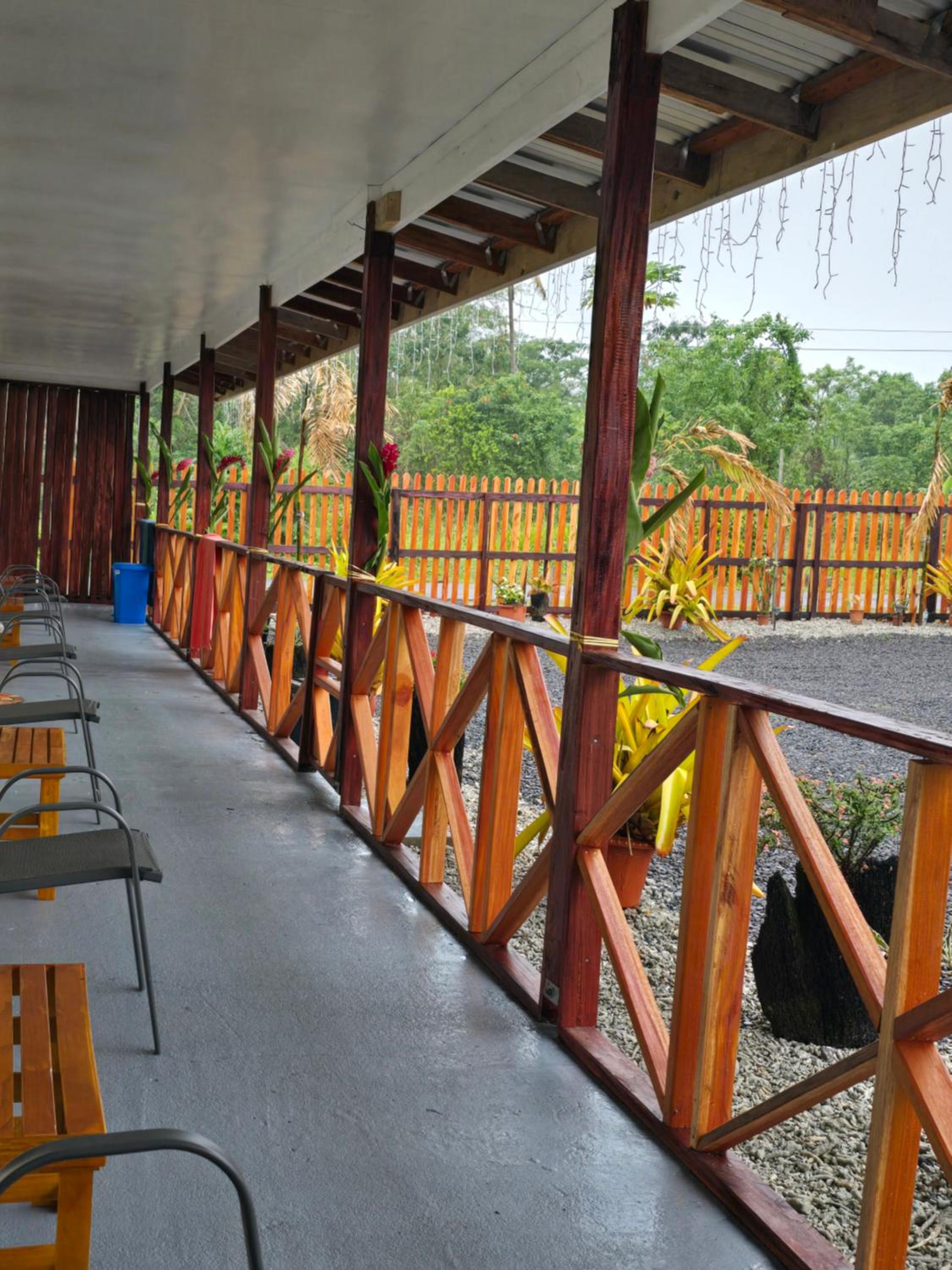 Jungle View Lodge view 2