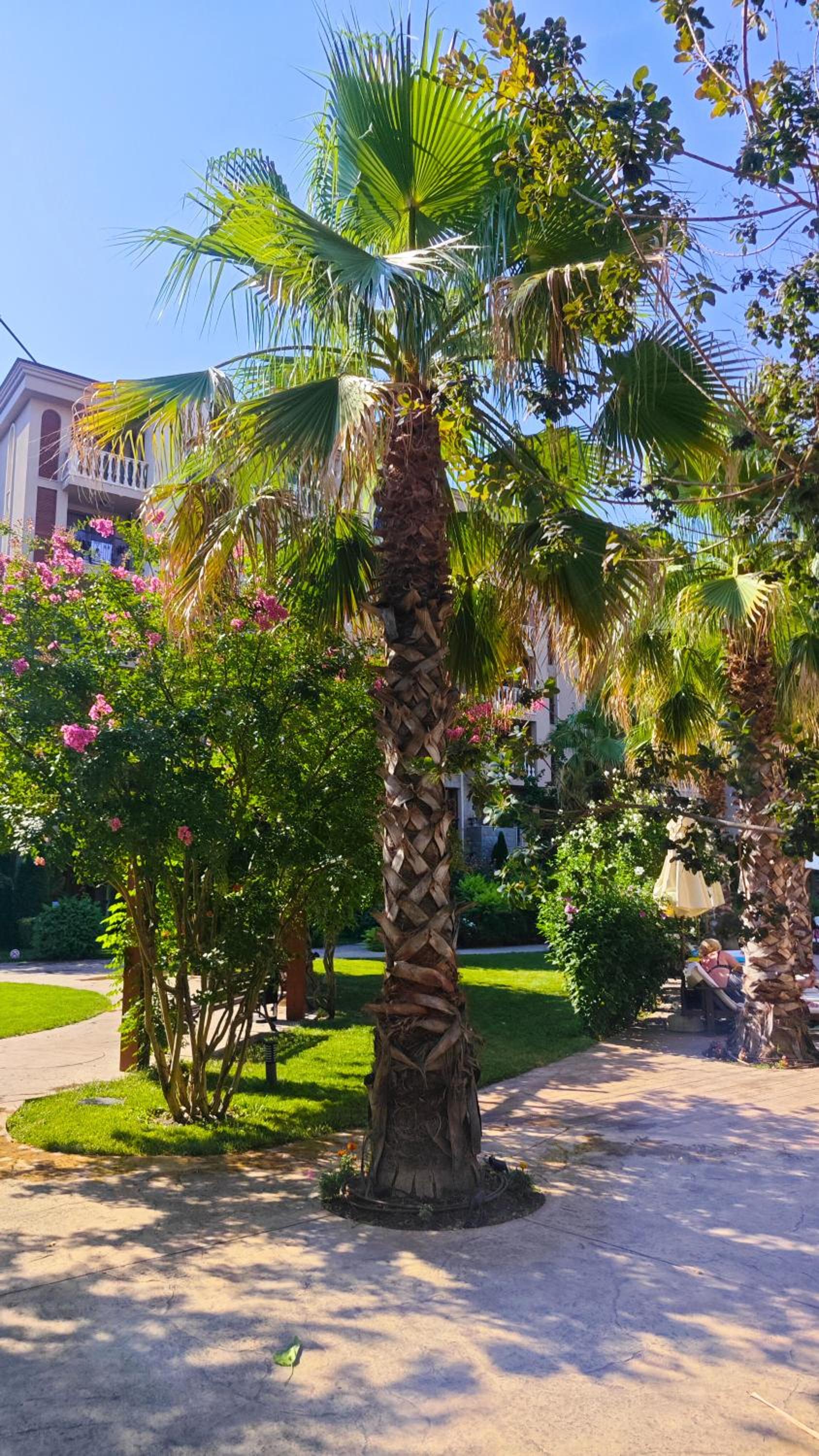 Attractive Studio-Apartment in Sunny Beach Cascadas Family Resort