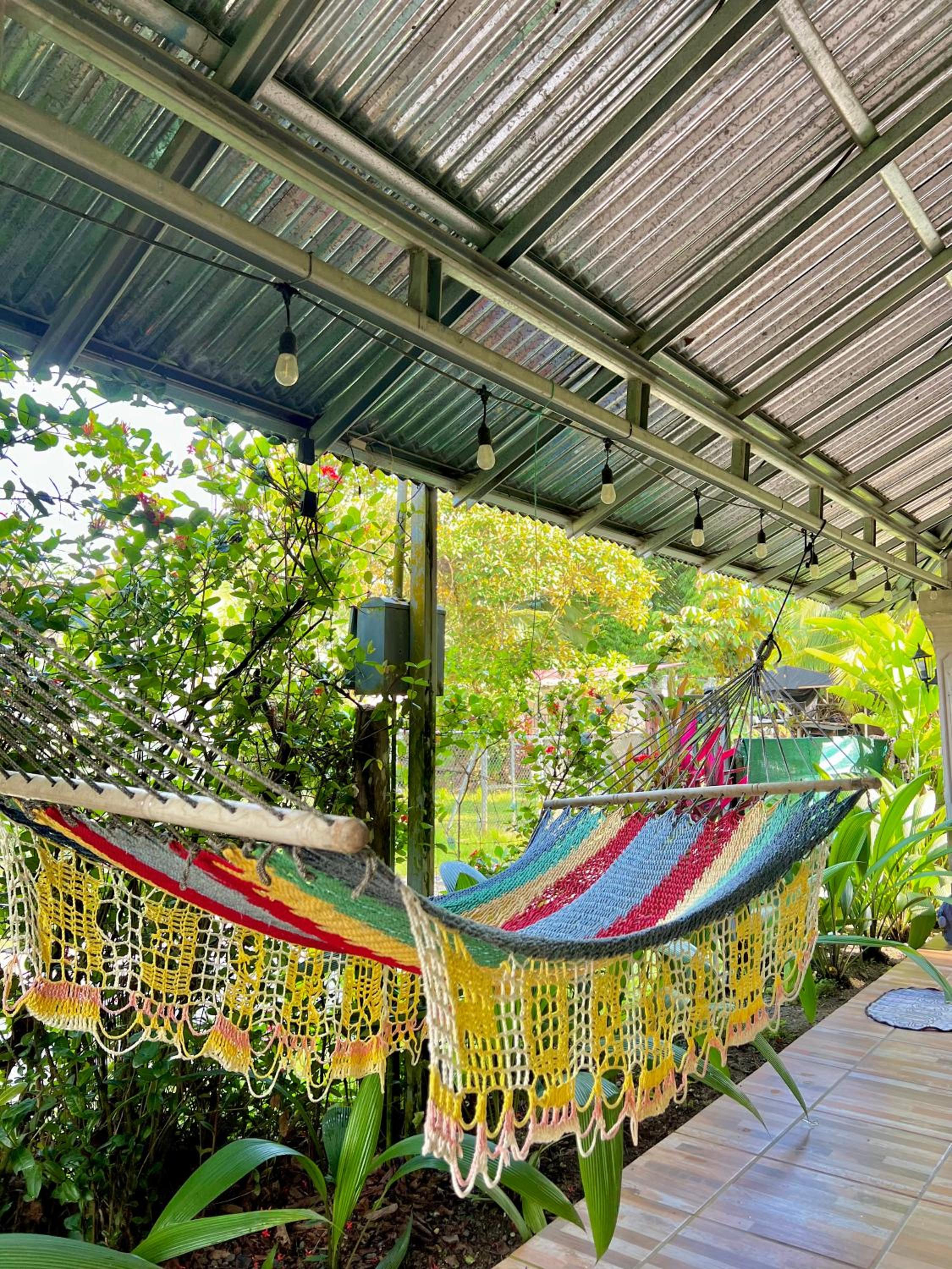 Casa Familiar Mono Congo