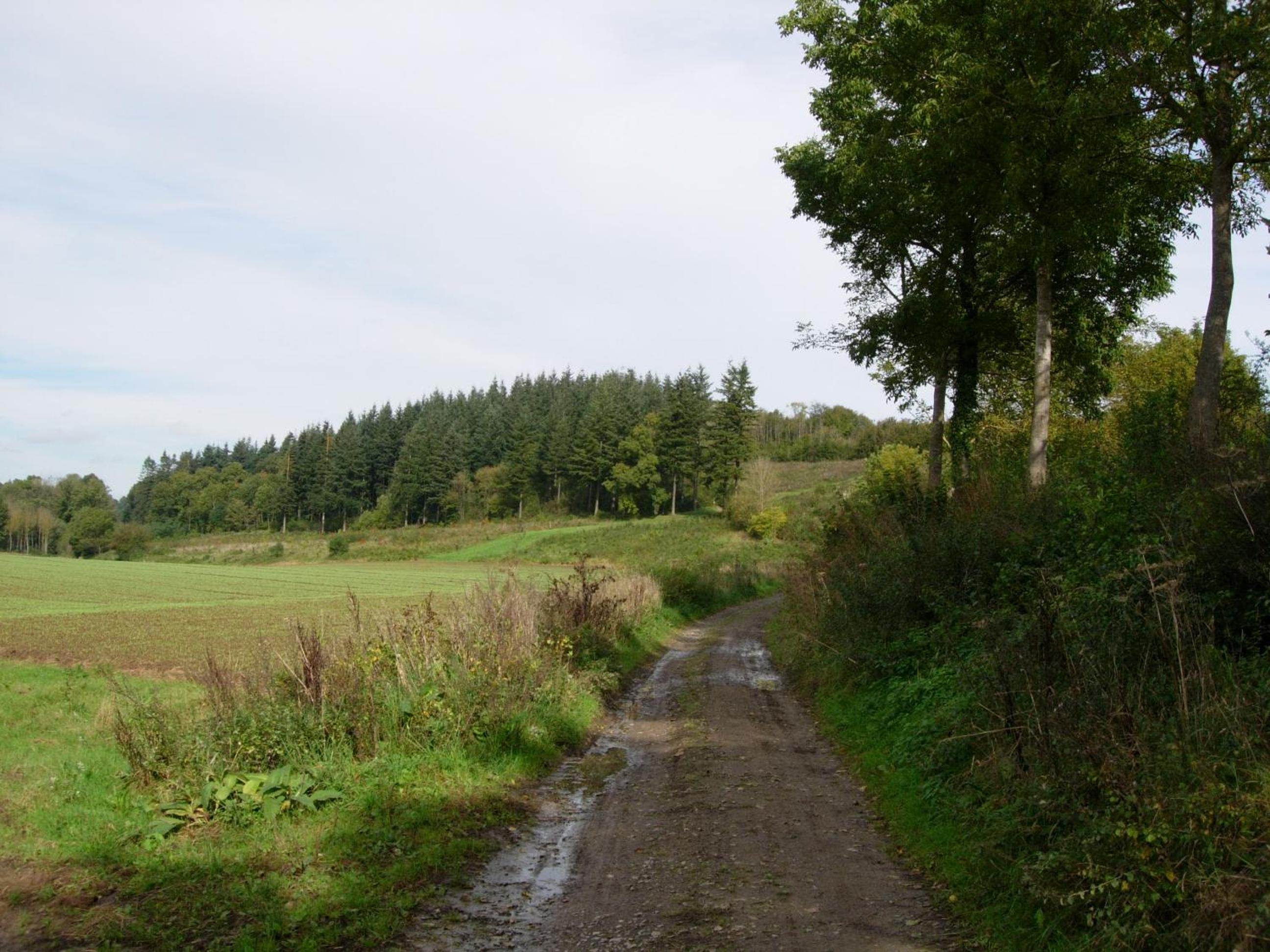 Gîte rural Le Falihou (3 épis)