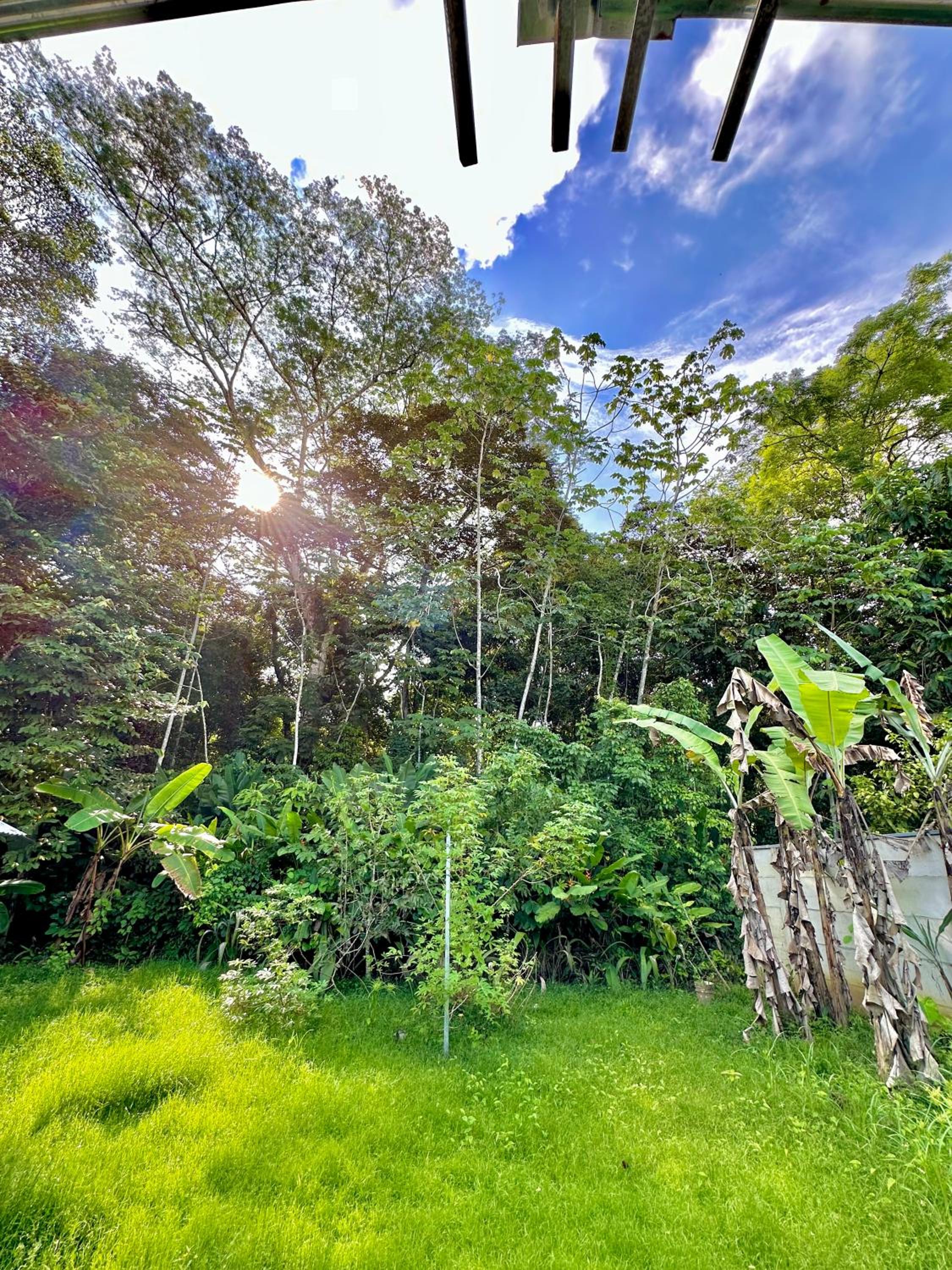 Casa Familiar Mono Congo