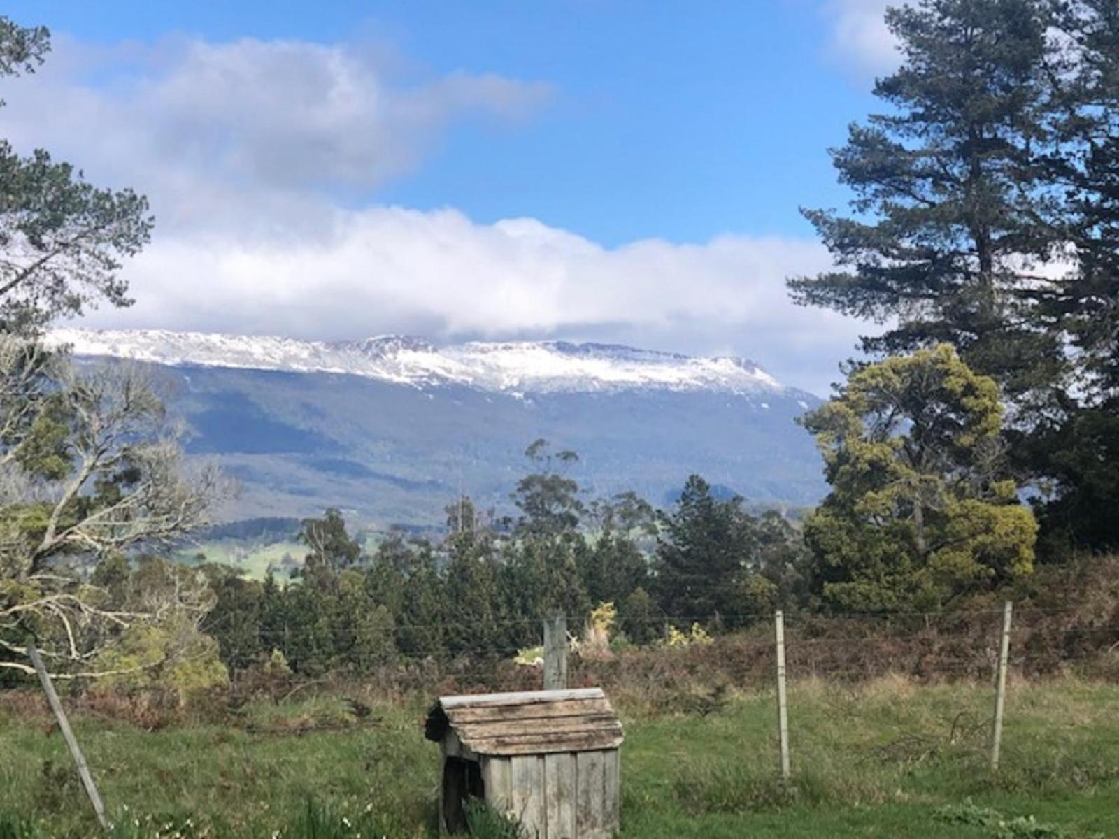 Wakefields - an enchanting mountain view cottage