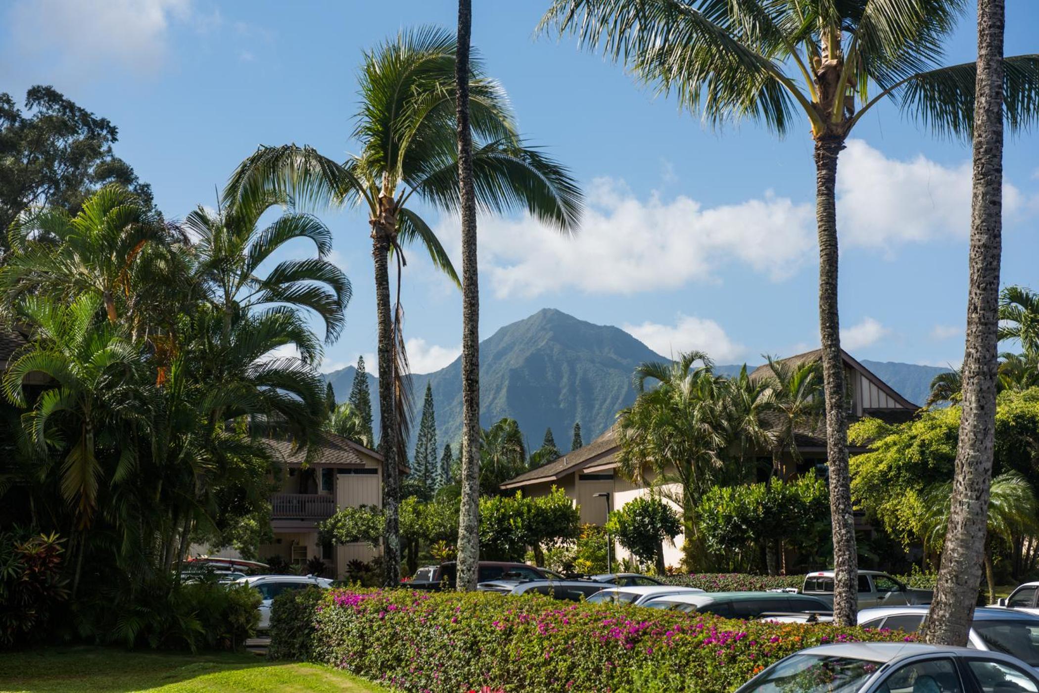 Hotel Bright And Beautiful Princeville Studio, Private Lanai, Pool (209b)