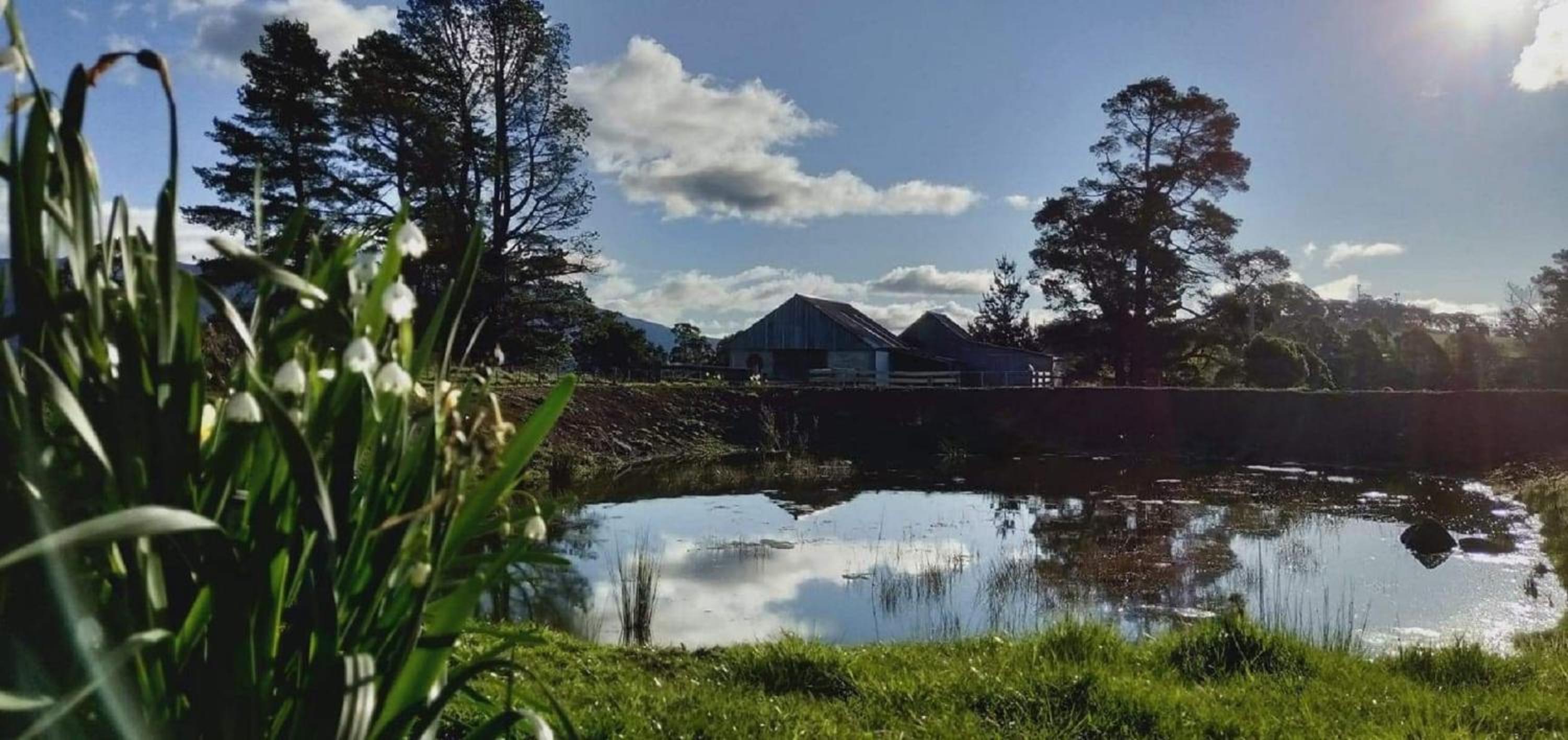 Wakefields - an enchanting mountain view cottage
