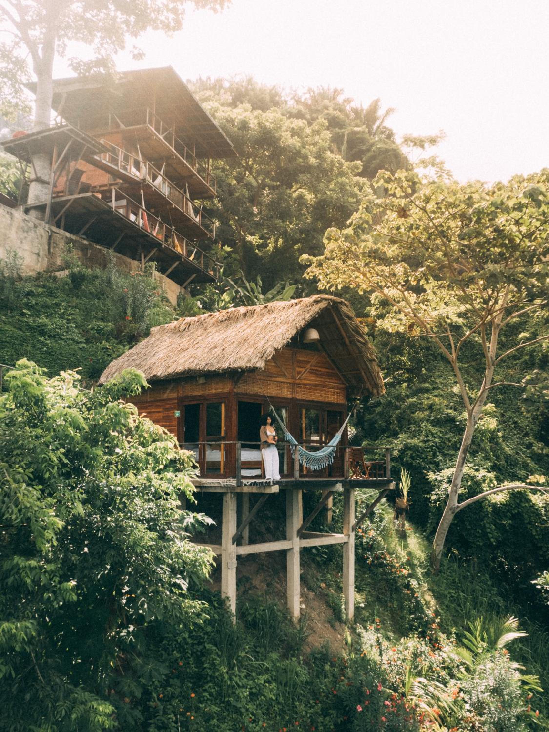 Paraiso Ahimsa