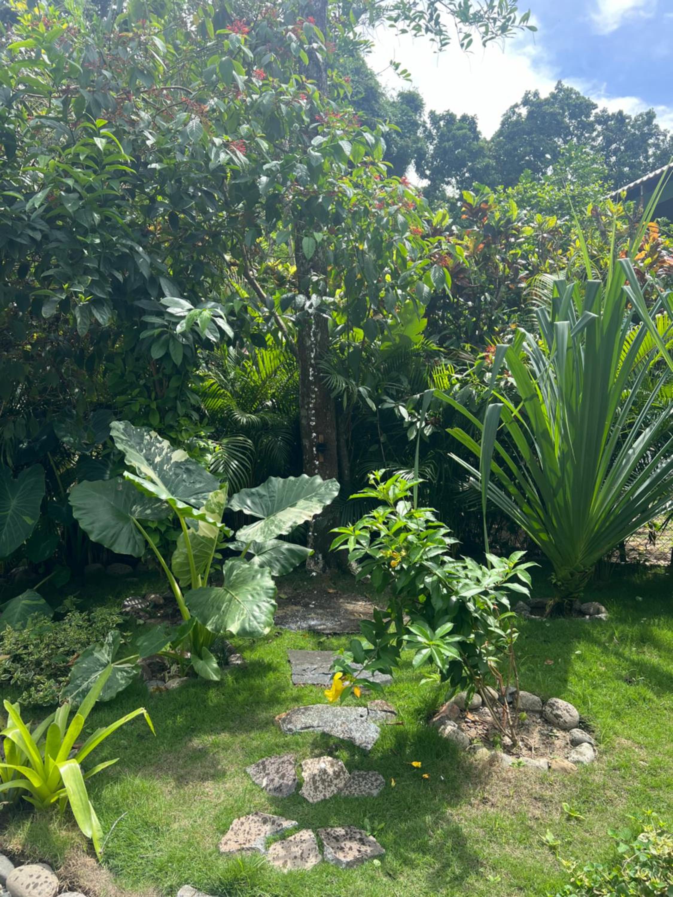 Wabi Sabi Sora