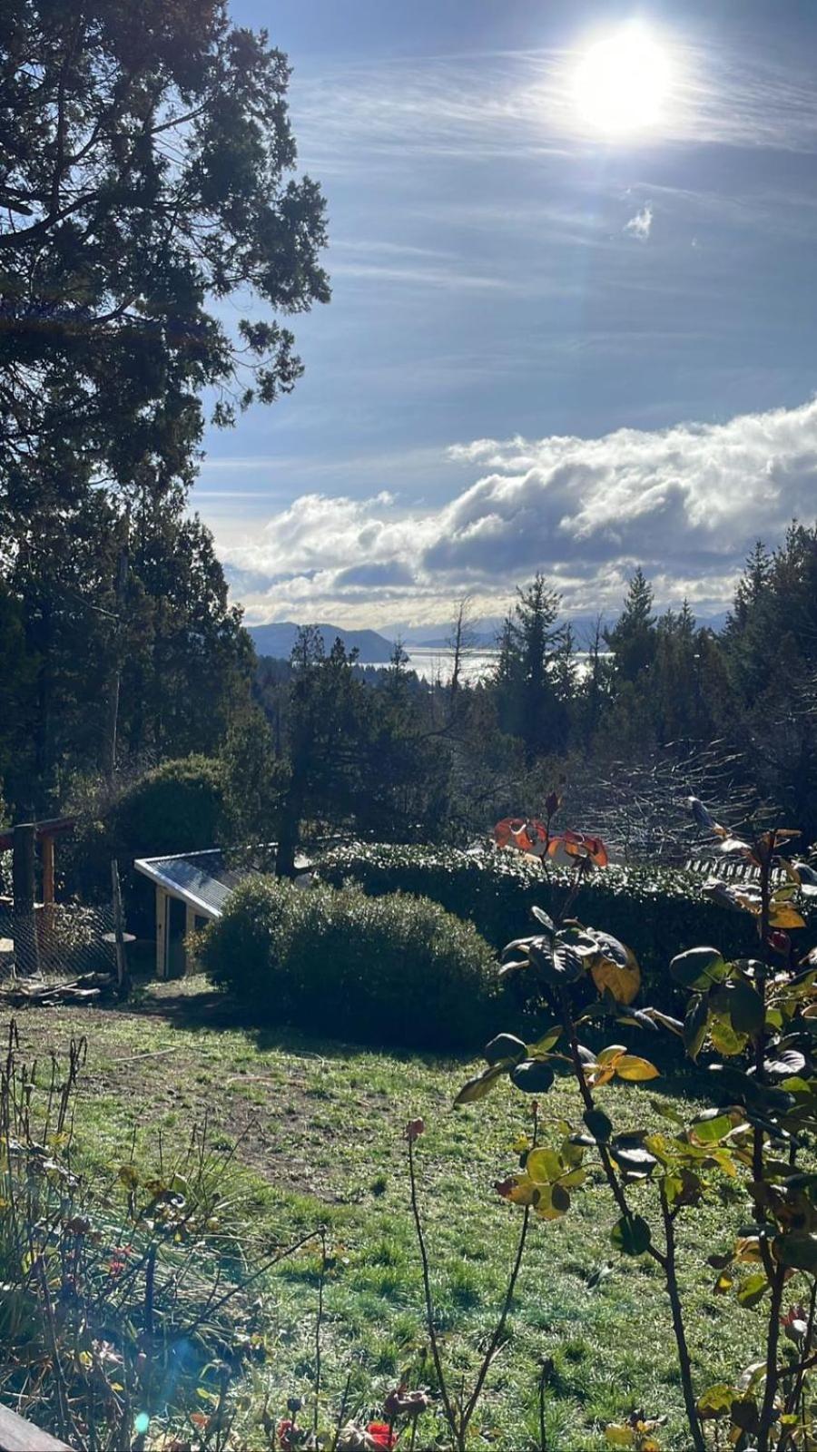 Pico Andino