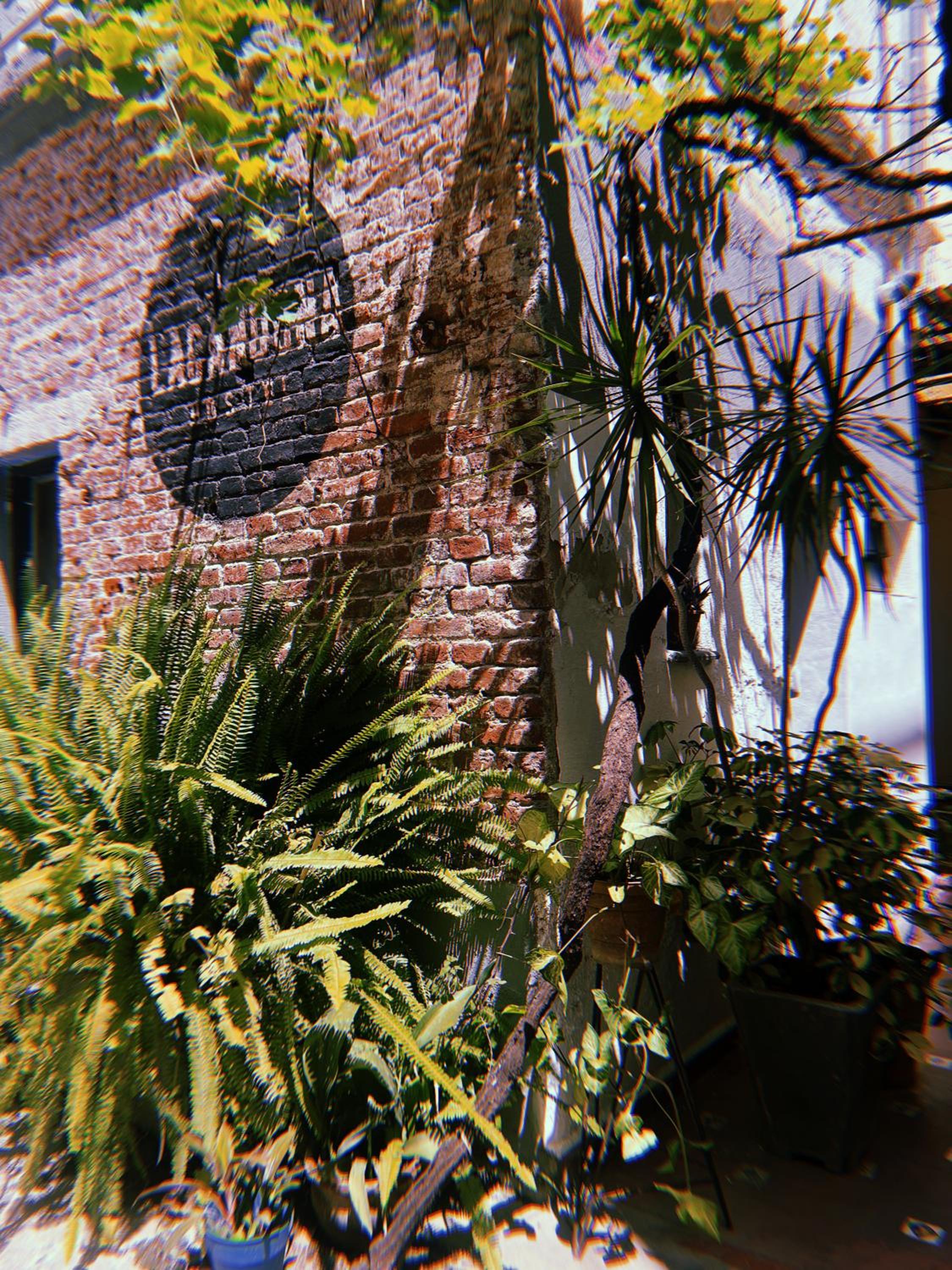 Lacandona Hostel