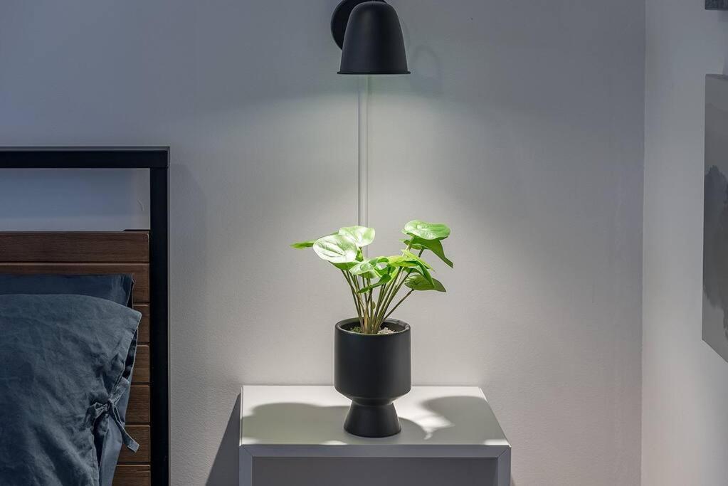 Ville-Marie - Cozy Apartment