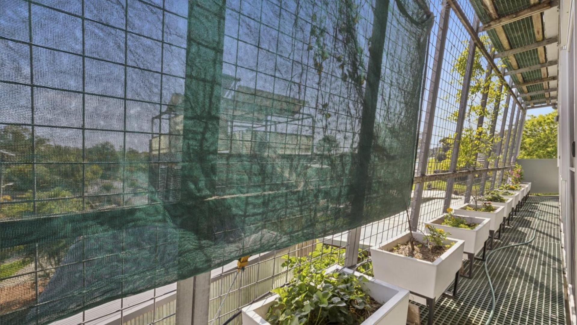 Your Sustainable Retreat In Coffs Harbour